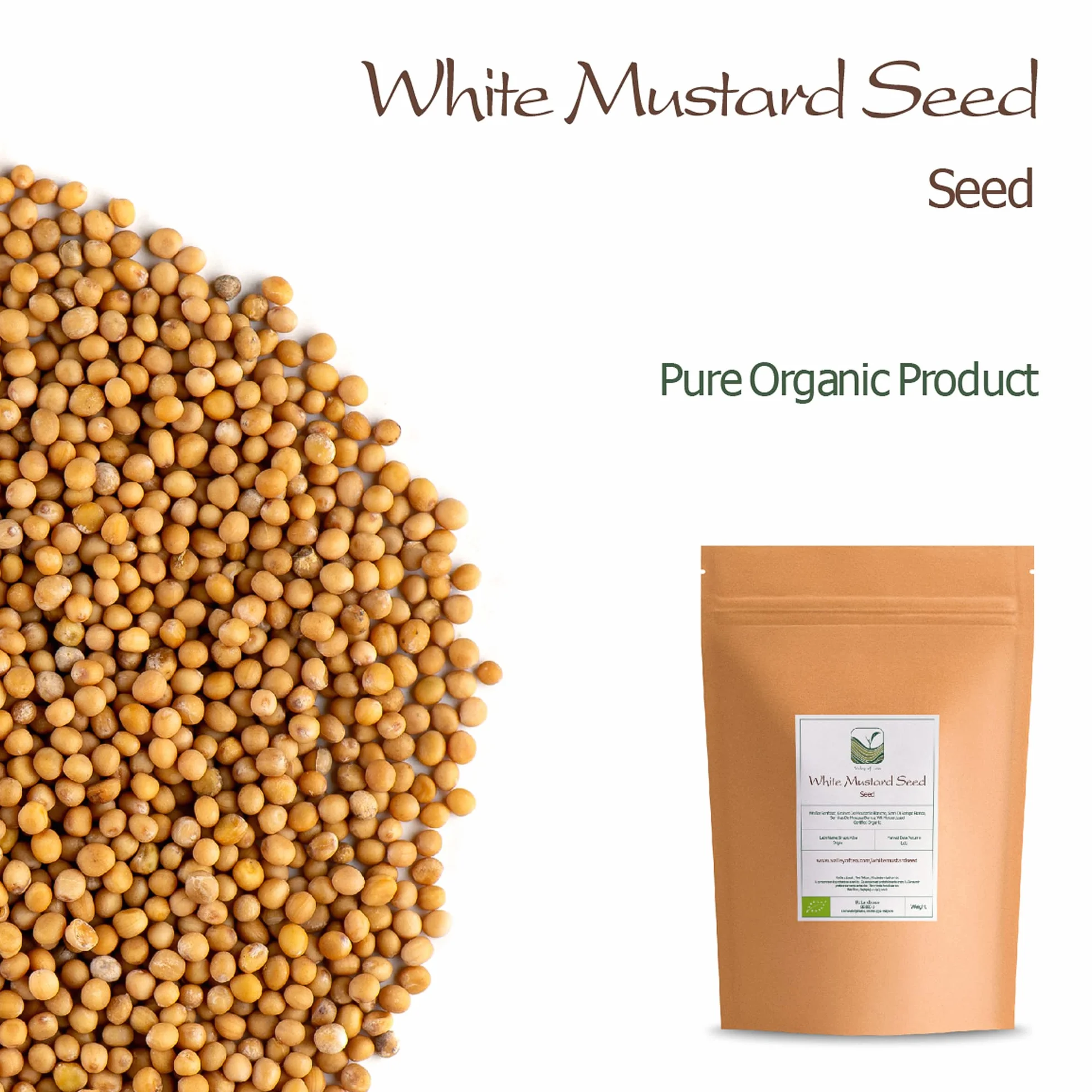 Yellow Mustard Seeds Whole - White Mustard Seed Spicy Ingredient
