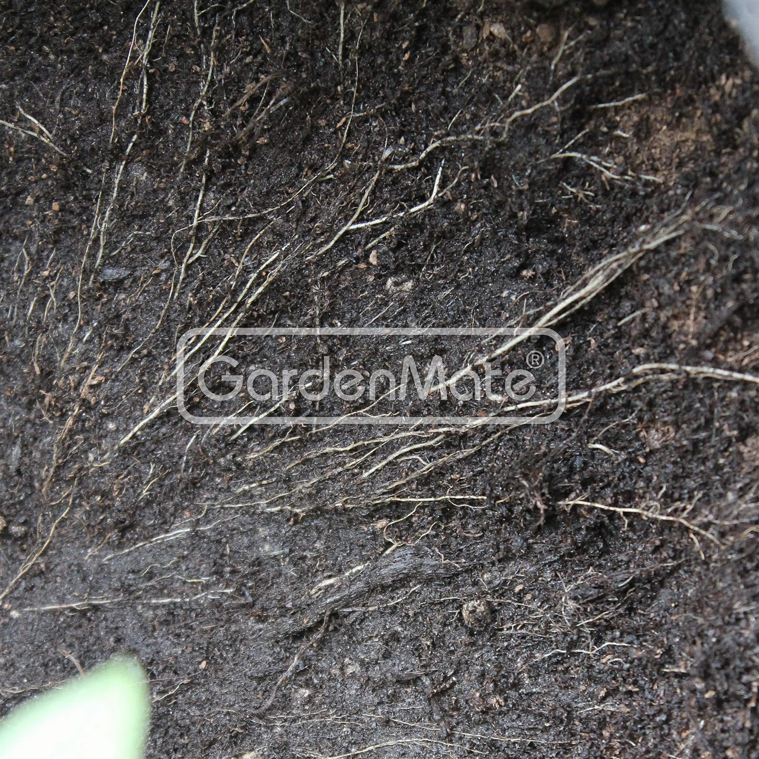 GardenMate BLACKLINE worek do roślin 20 l z włókniny Ø 31 cm wysokość 26 cm
