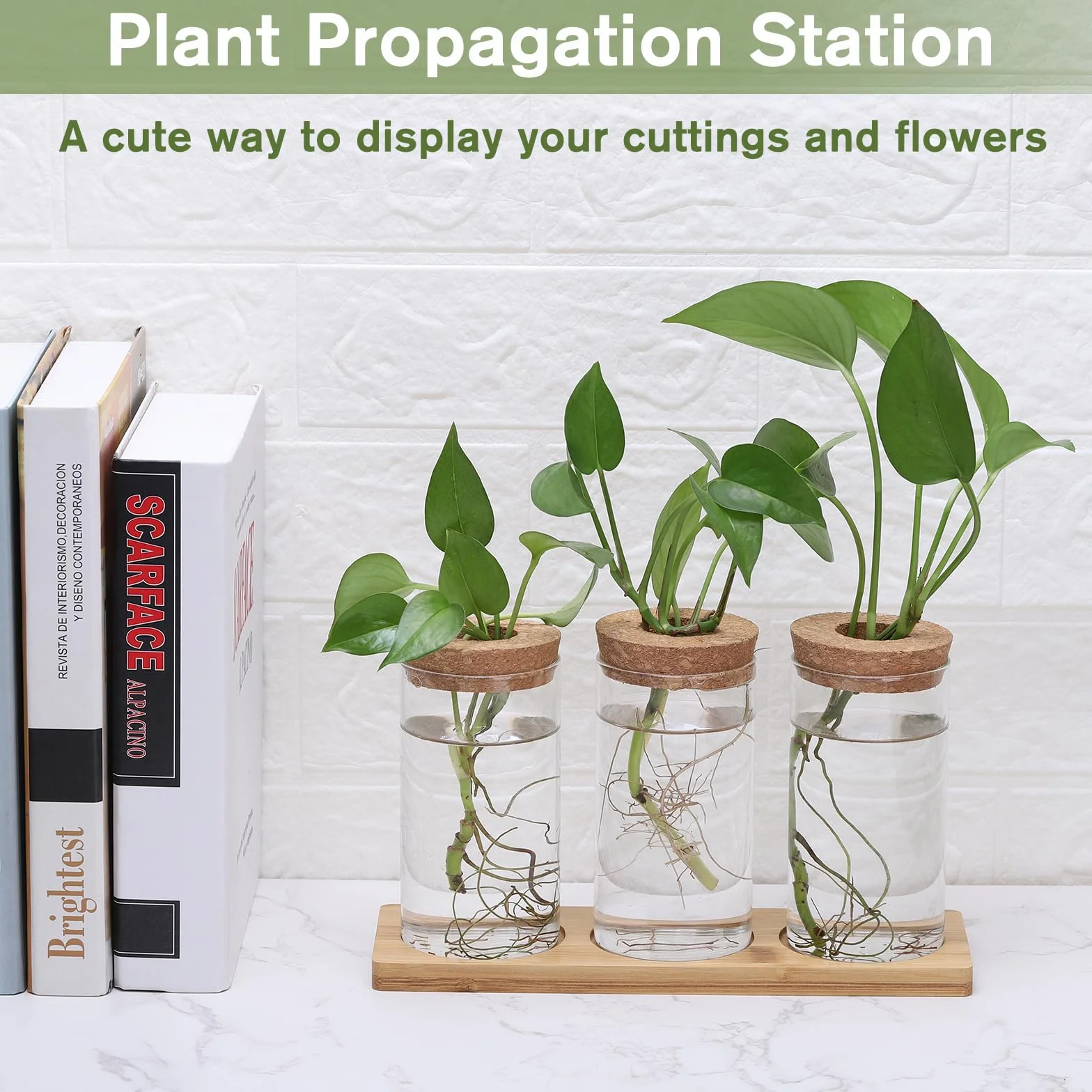 Fentar Propagation Station z drewnianą podstawą – 3 małe wazony do dekoracji stołu, wazon hydroponiczny z wtyczką, stacja rozmnażania do hydroponiki