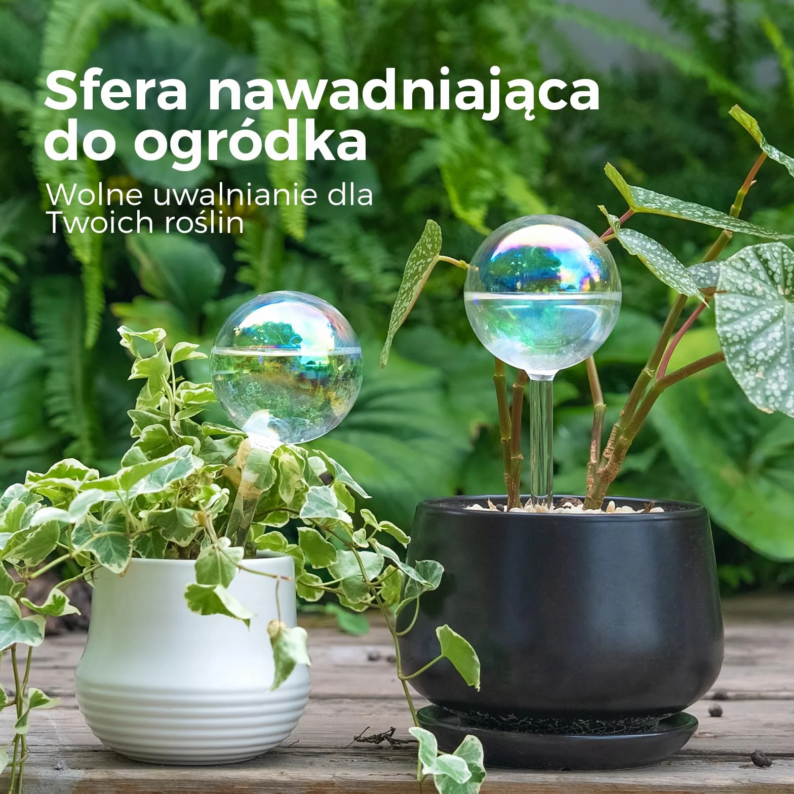 Bamworld Samonawadniające Kule do Podlewania Roślin Szklane Tęczowe Wkładki do Doniczek Samonawadniających Automatyczne Urządzenie do Podlewania Roślin Wnętrznych 2 Sztuki