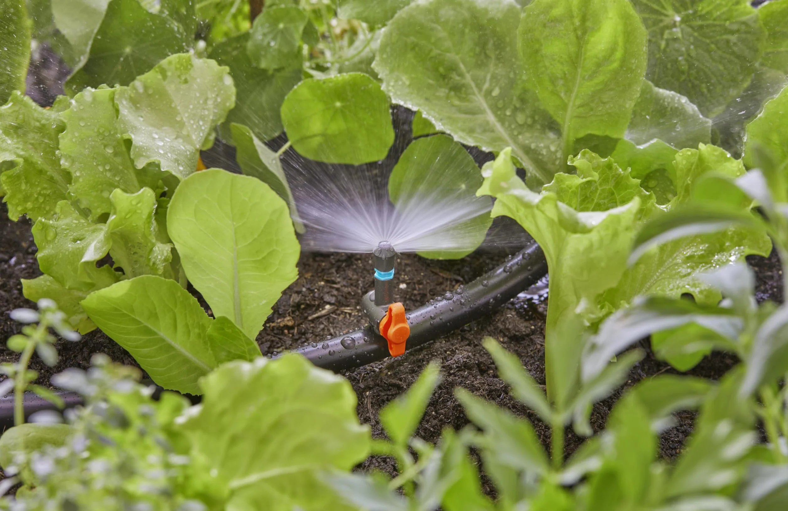 Gardena Micro-Drip dysza rozpylająca 180 stopni, regulowana, zasięg 3 m, 5 szt. (13321-20)