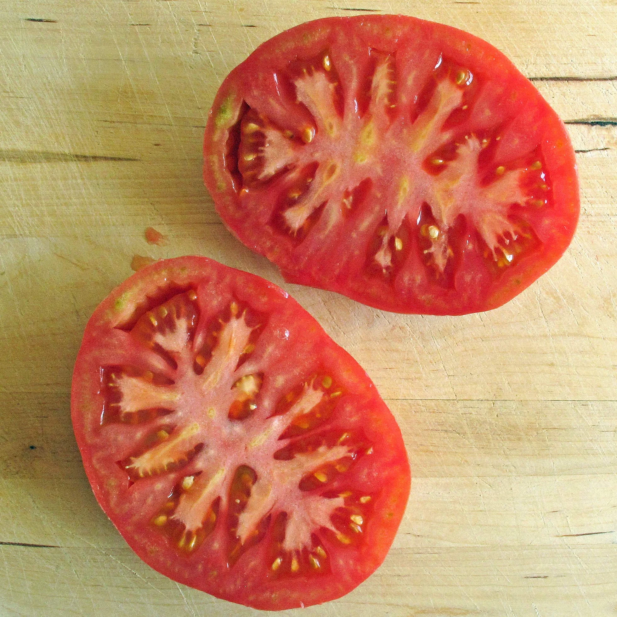 Pomidor różowy 'Berner Rose' (Solanum lycopersicum) 10 nasion, stara odmiana