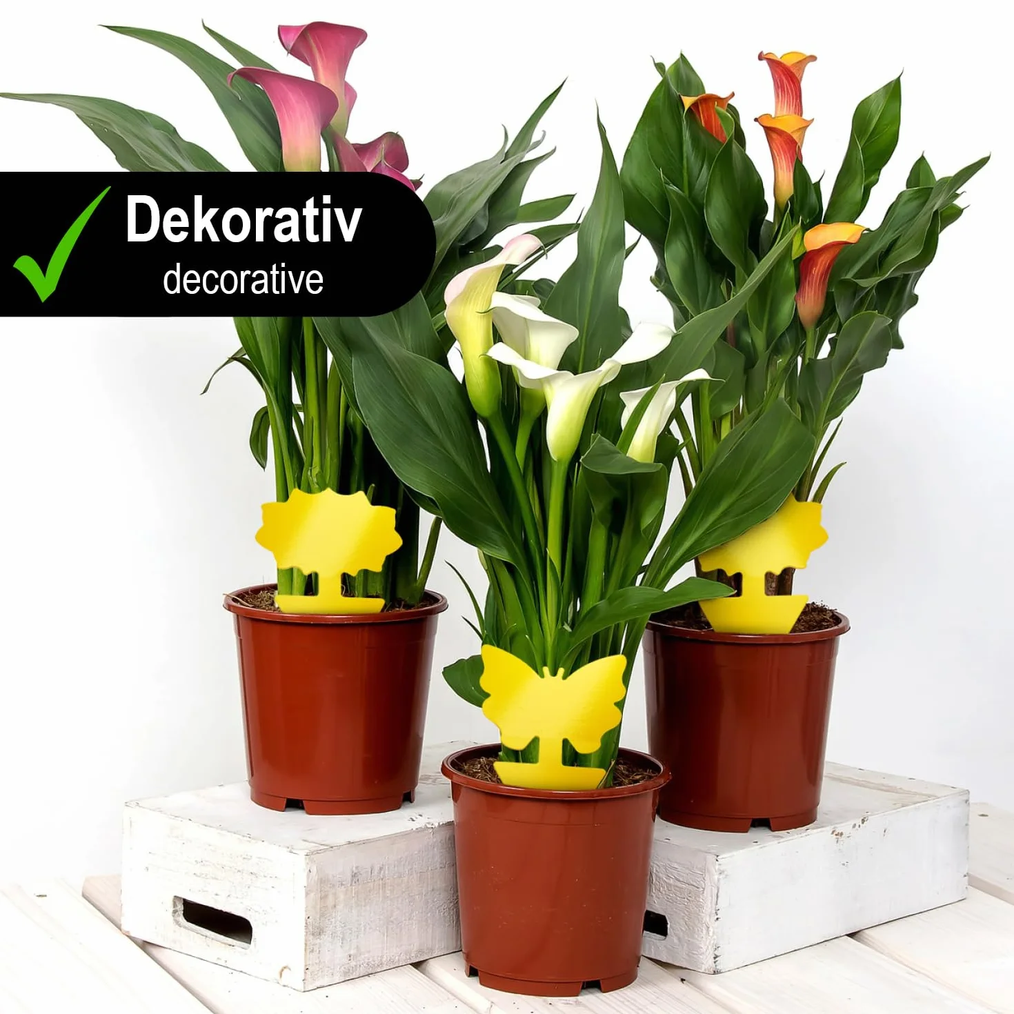 com-four® 50 zóltych pulapek na ziemiórki, muchy i mszyce – nietoksyczne pulapki klejowe do roslin – ksztalt kwiat i motyl (50 pulapki na muchy zólte)
