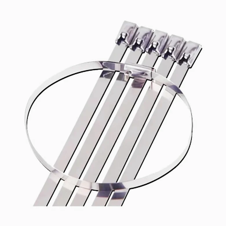 opaski zaciskowe, Ok. 10/20 szt. Metalowa opaska zaciskowa ze stali nierdzewnej do rur wydechowych, rura indukcyjna, szerokość 4,6 mm, materiał 304, x 10(10pcs,4.6mmx300mm)