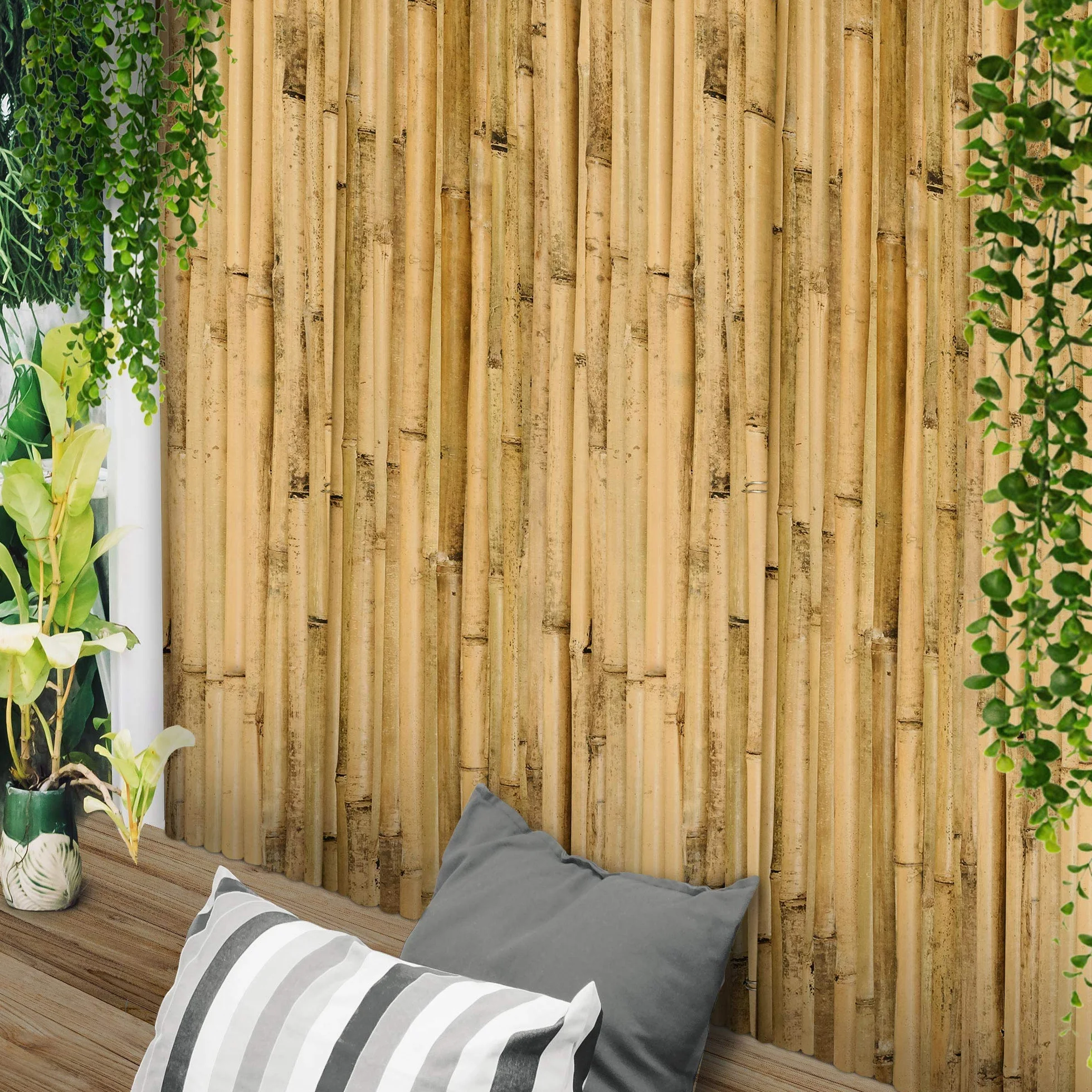 Sol Royal Ogrodowy parawan z bambusa SolVision B38 100x250cm Naturalna ścianka Mata ogrodowa Ochrona przed wiatrem i słońcem