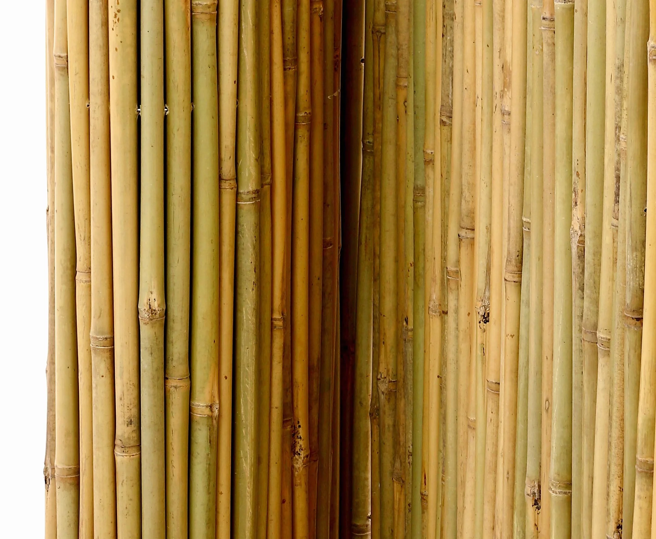 Mata bambusowa Bali 80 x 300 cm stabilna z przewierconym drutem