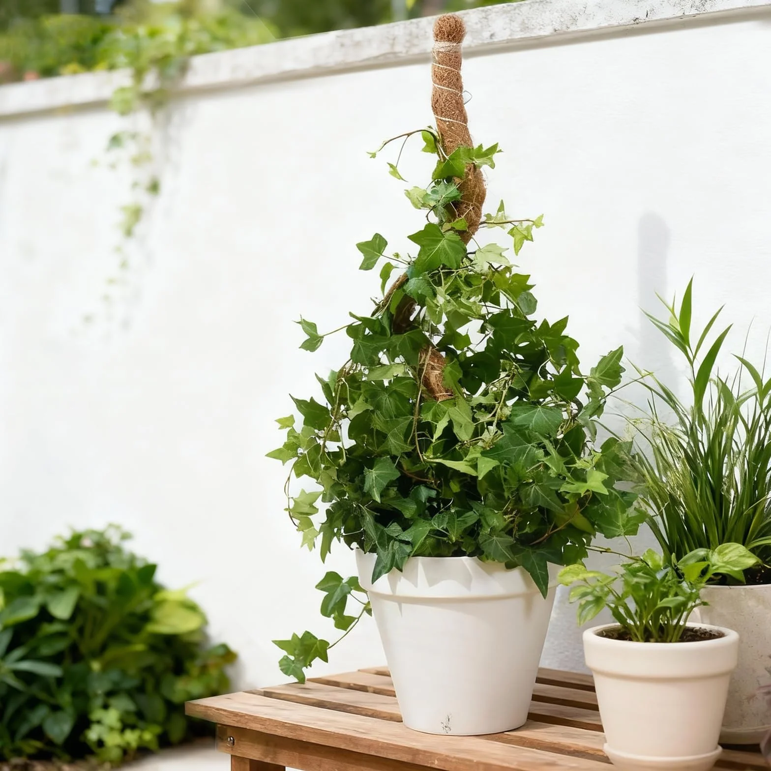 Bamworld Słupek do mchu, 2 szt., 69,8 cm, do podparcia roślin, monstera Coco Coir, wsparcie dla małych roślin pnących doniczkowych do wzrostu w górę