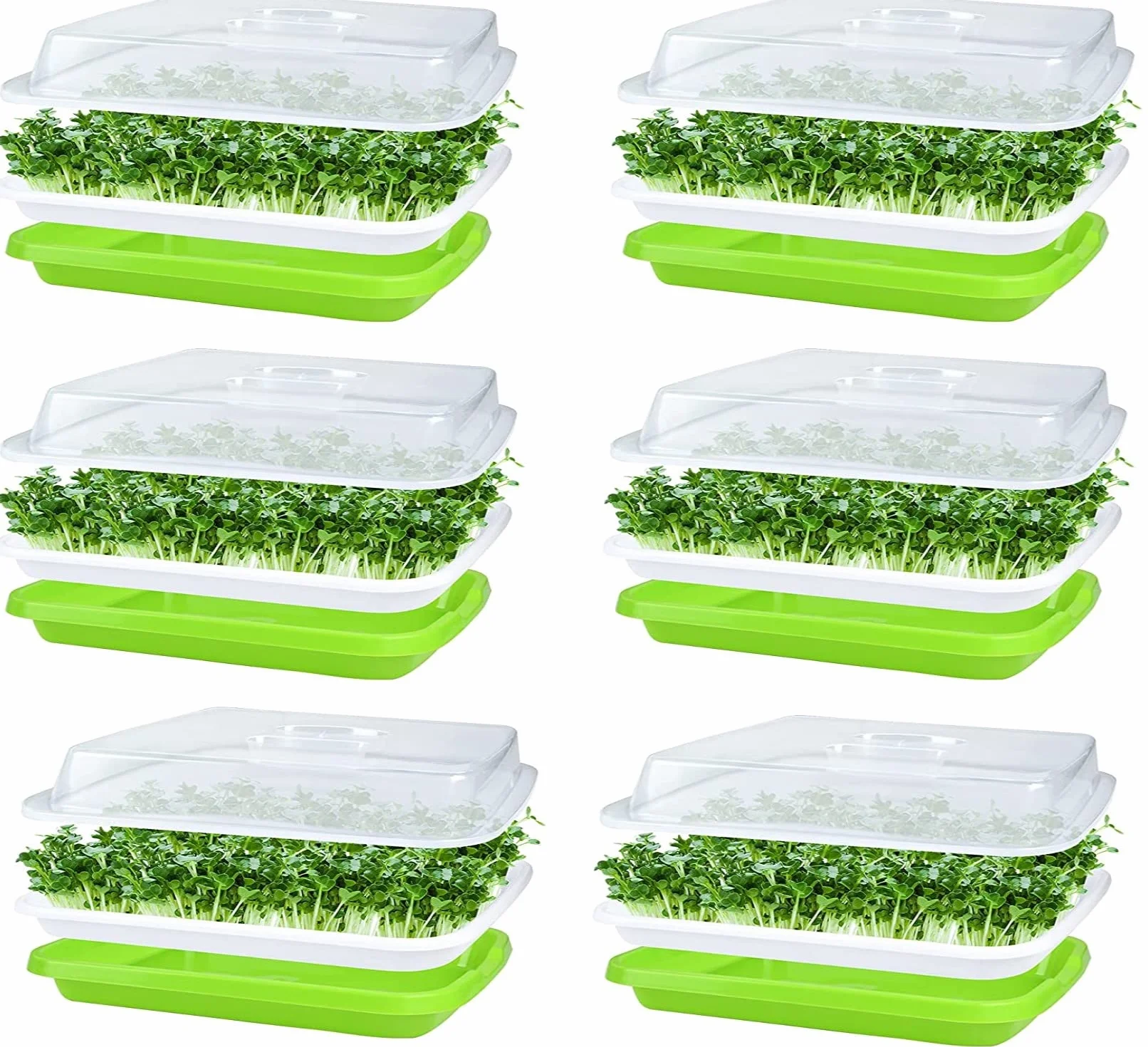 KAHEIGN 6 miseczek na kiełki 32 cm x 26 cm z pokrywką do uprawy fasoli mung lucerny trawy pszenicznej