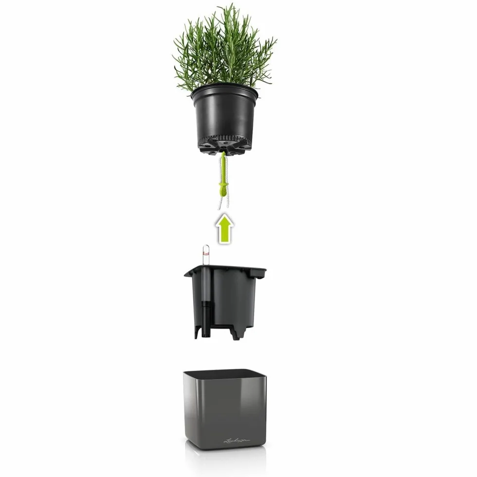 Lechuza Donica, System Nawadniania, Cube Glossy Green Wall Home Kit, Antracyt Optymalny Połysk, 13524