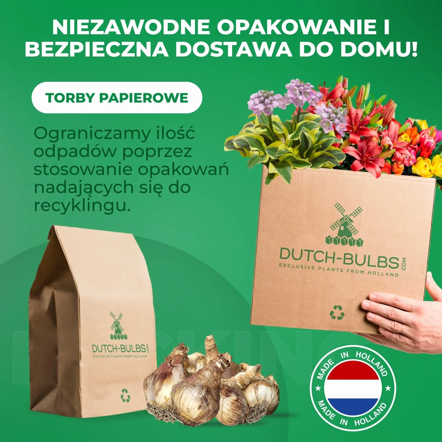 Narcyz Paperwhiter letni kwiat cebulowy 25 cebul żonkili pachnąca mieszanka z Holandii