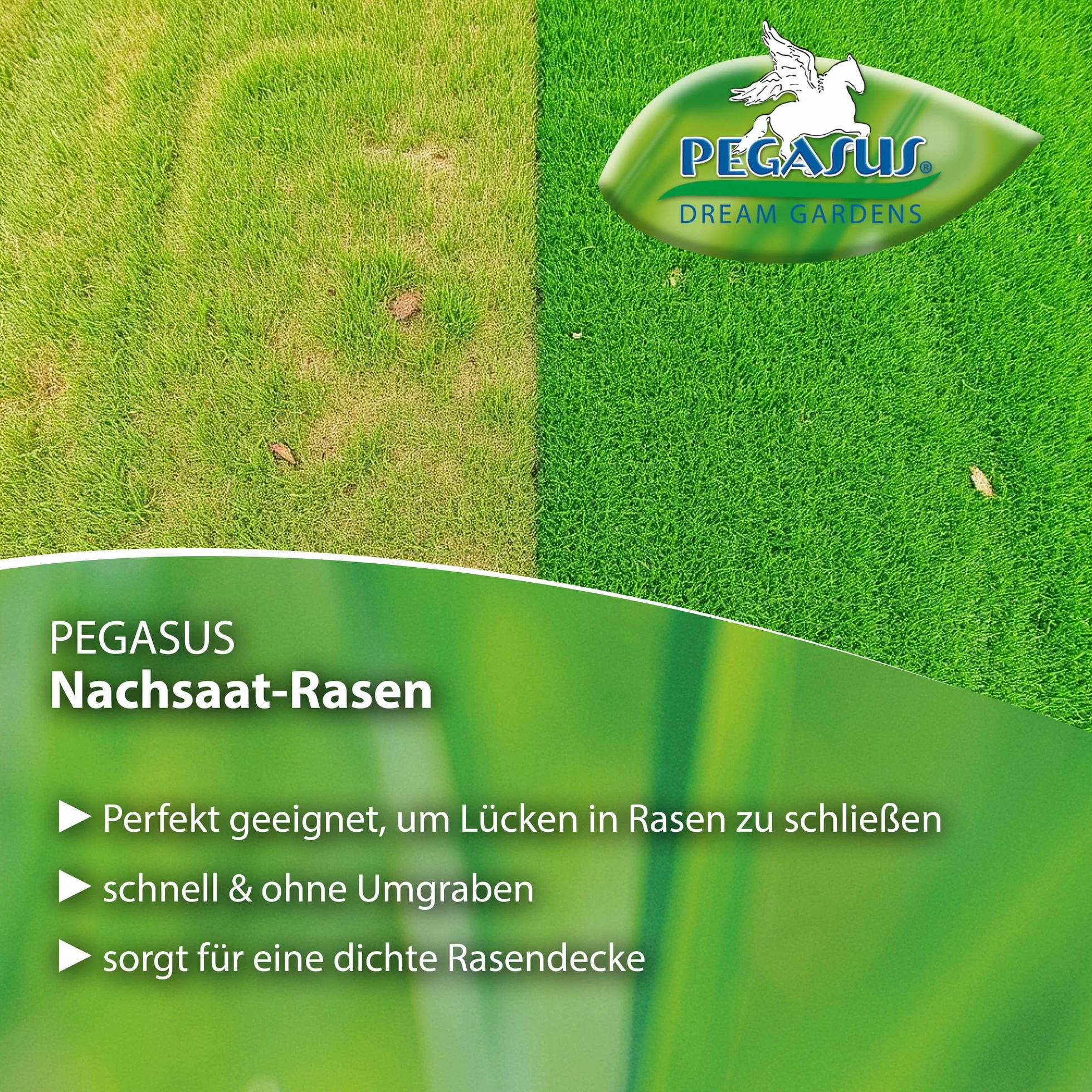 Pegasus Nasiona trawnika, 1 kg, 25 m², 622258 – turbo dosiew trawnika, mieszanka naprawcza, szybko kiełkujący, gęsty wzrost