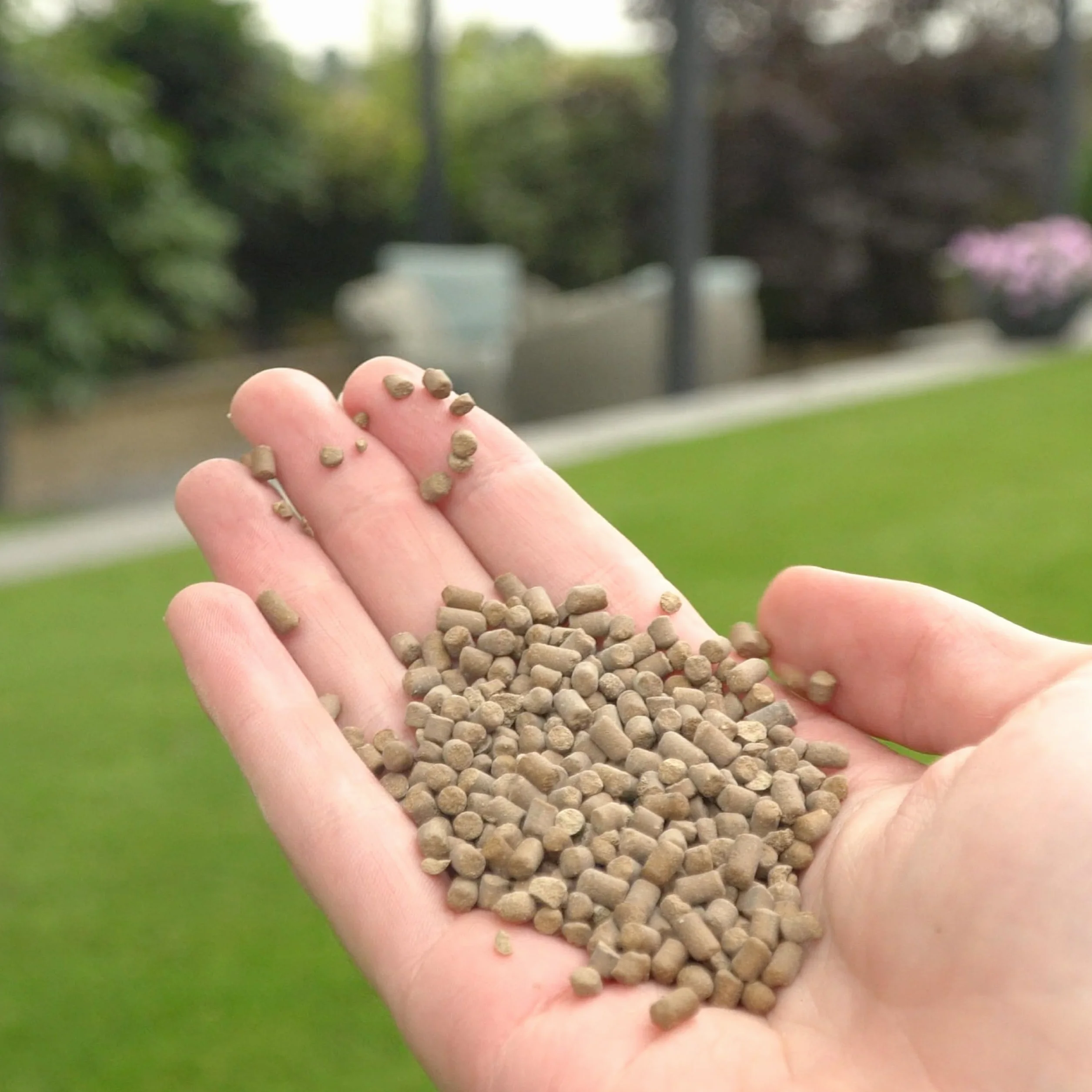 Envii Active Lawn – organiczny polepszacz gleby trawnikowej pomaga oderwać glinę i poprawia napowietrzanie – smakuje 40 m2
