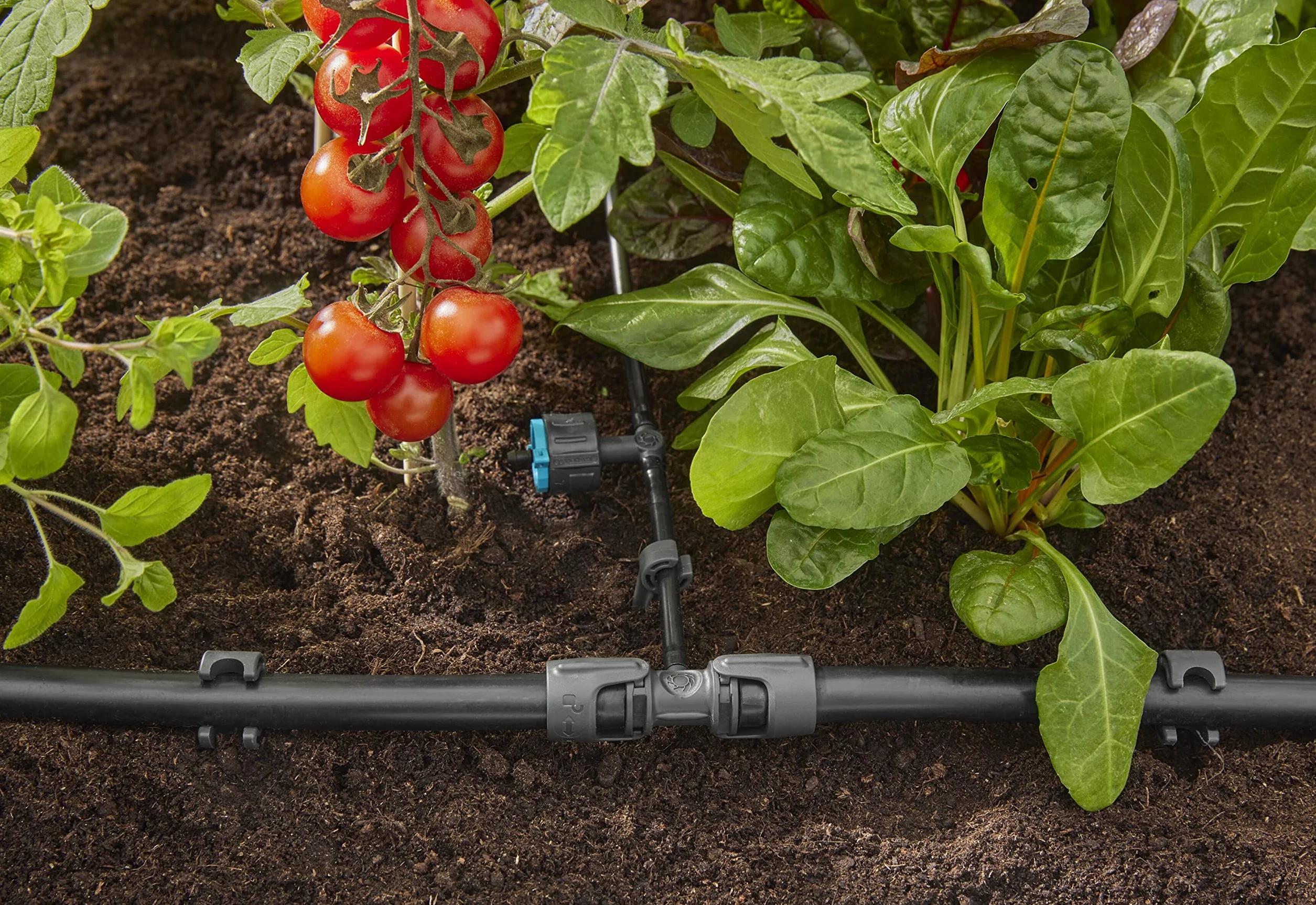 Gardena system Micro-Drip trójnik redukcyjny: Praktyczne połączenie T do przejścia rury 13 mm w rurę 4,6 mm, technika połączeniowa Quick & Easy, możliwość ponownego użycia (13204-20)
