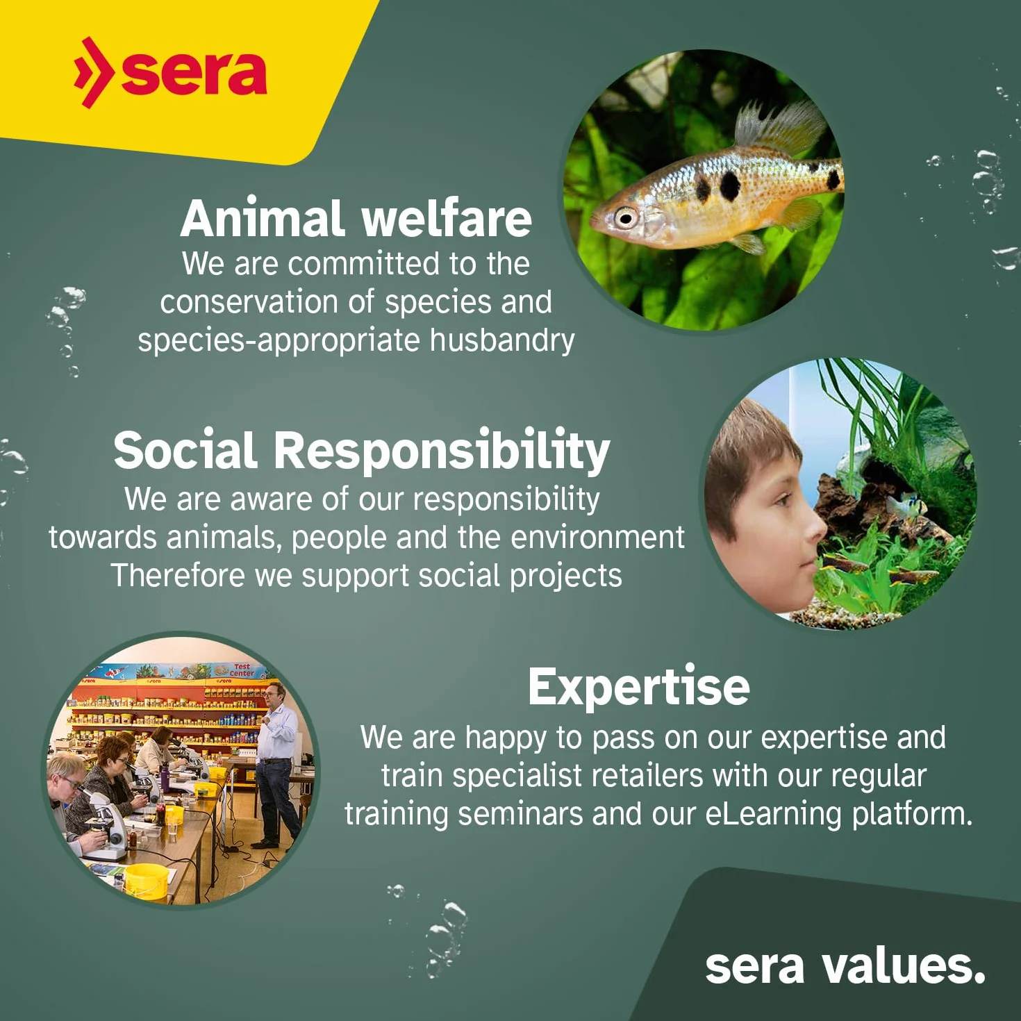 Sera Koi Professional Spirulina Farbfutter 7kg