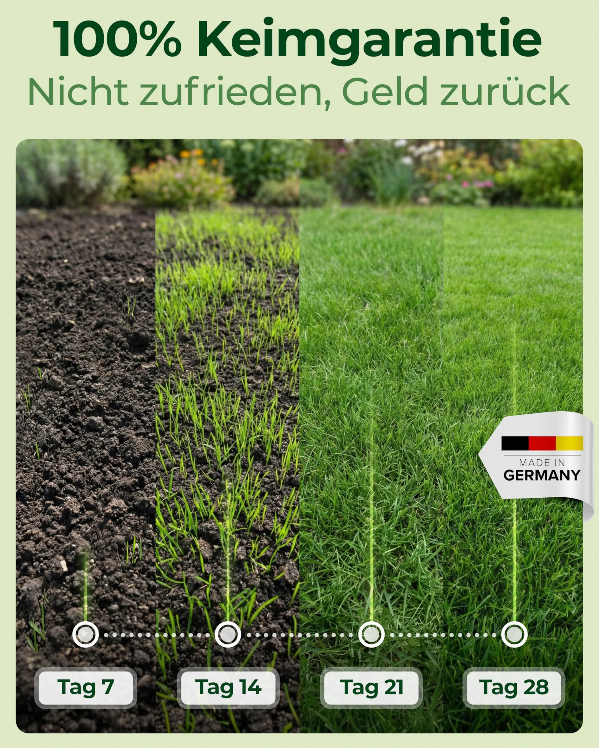 Nasiona trawy Premium 5 kg 200 m² Szybko rosnący Made in Germany