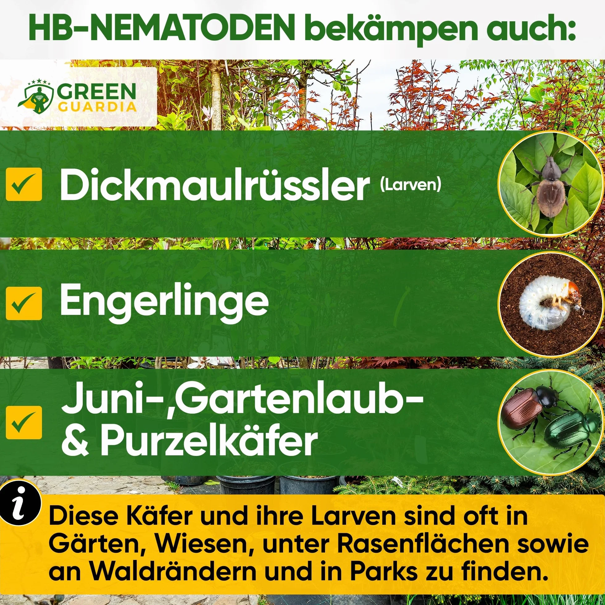 GREEN GUARDIA Nicienie Power HB przeciwko opuchlakowi i pędrakom – 10 mln (20 m²) – biologiczne zwalczanie szkodników, przyjazne dla środowiska, bez chemii, łatwe w użyciu i bezpieczne dla ludzi i