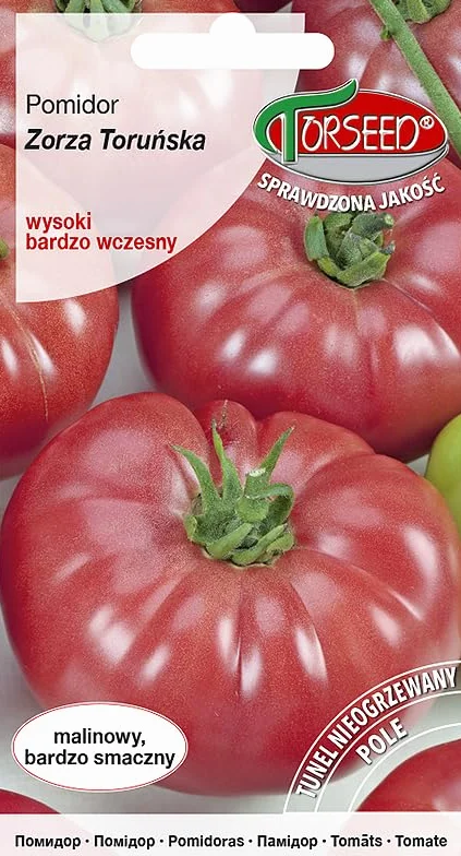 Zorza Toruńska nasiona pomidorów – bardzo wcześnie dojrzewające, pyszne żebrowane owoce 150-250 g, idealne do tuneli i pól, certyfikowana jakość, idealne do siewu wiosną (0,5 g)