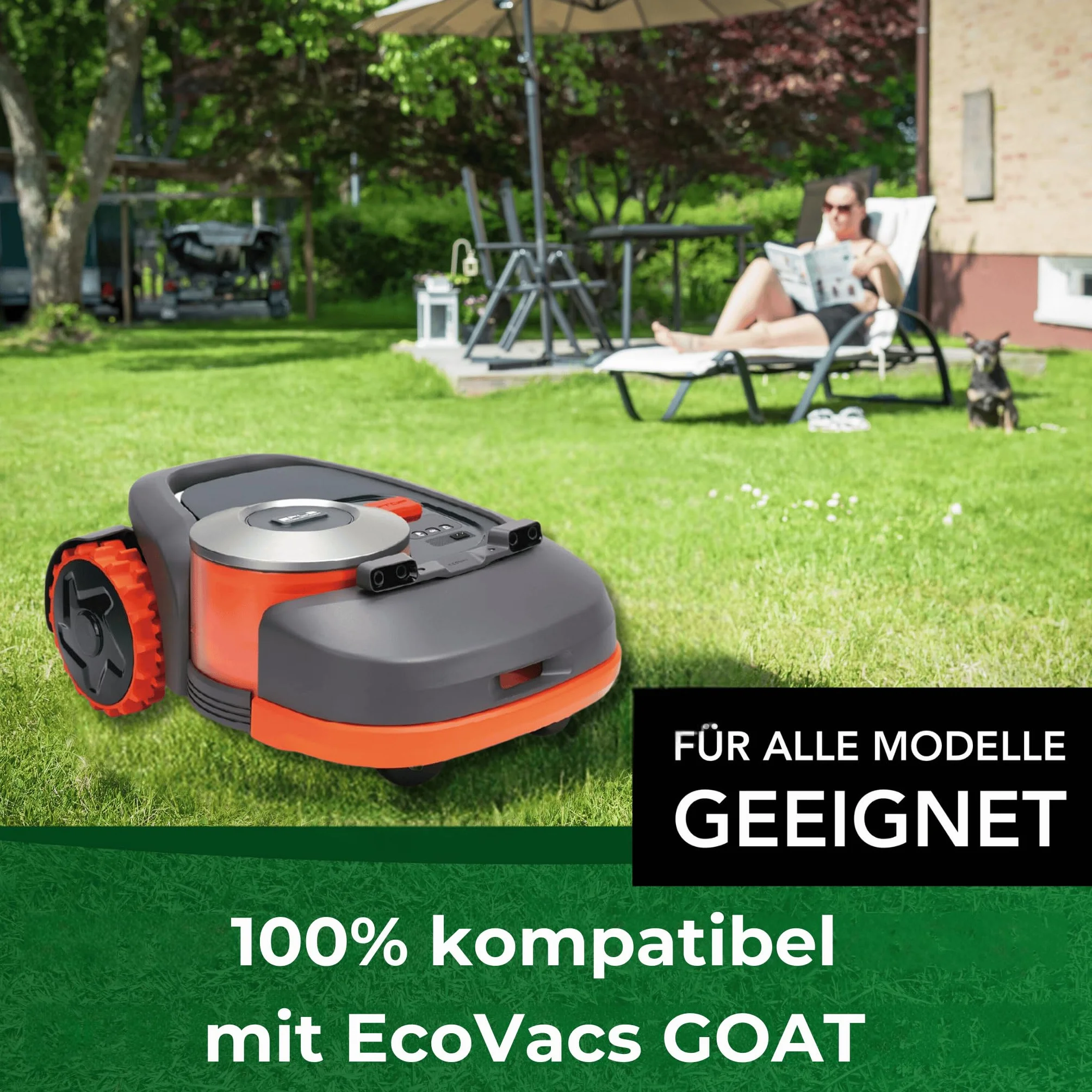 Genisys Wymienne noże kompatybilne z ostrzami Anthbot Pion Genie – stal nierdzewna LongLife – 1 otwór, odporny na pęknięcia [certyfikat DIN EN 50636], sztuka: 30