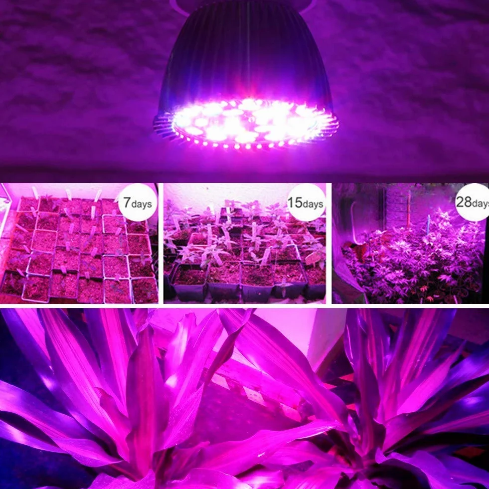 Żarówka LED do uprawy 5W E27 Pełne spektrum Szklarnia Hydroponiczna