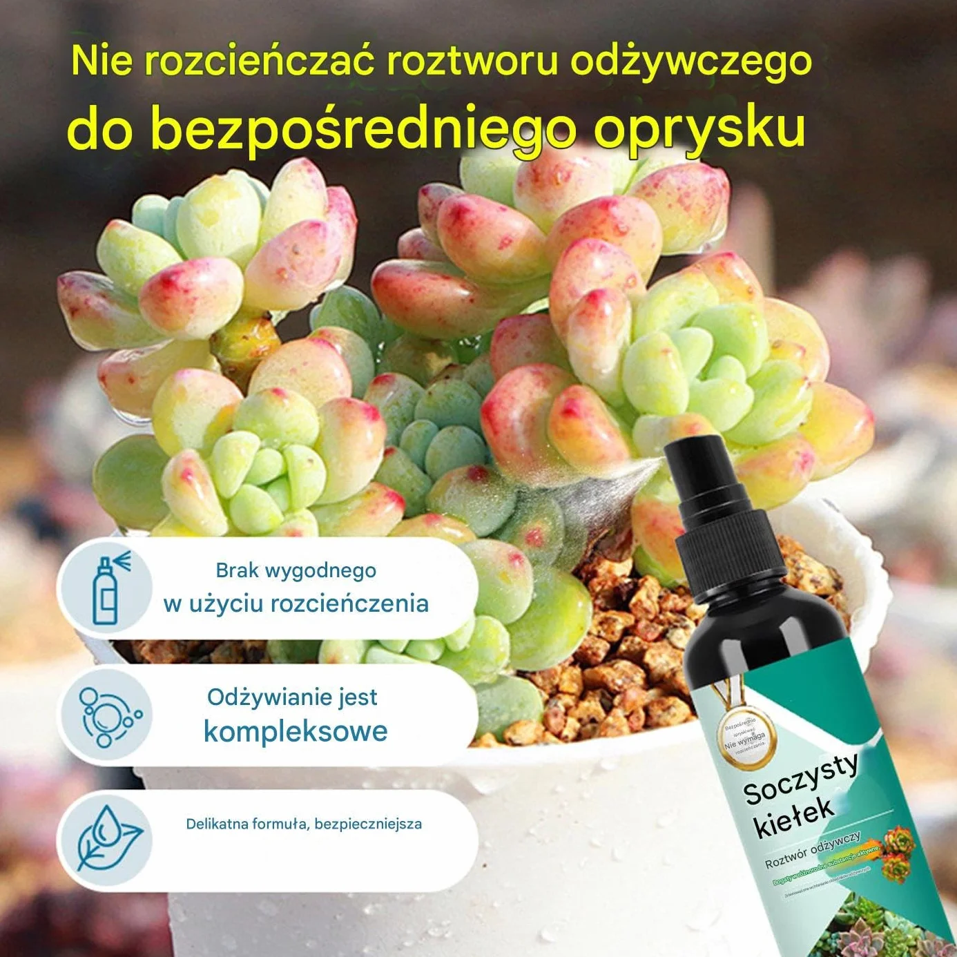 Nawóz Do Kaktusów | Stymulator Wzrostu Sadzonek Dla Sukulentów - 100ml Stymulator Wzrostu Dla Roślin Doniczkowych W Pomieszczeniach I Na Zewnątrz