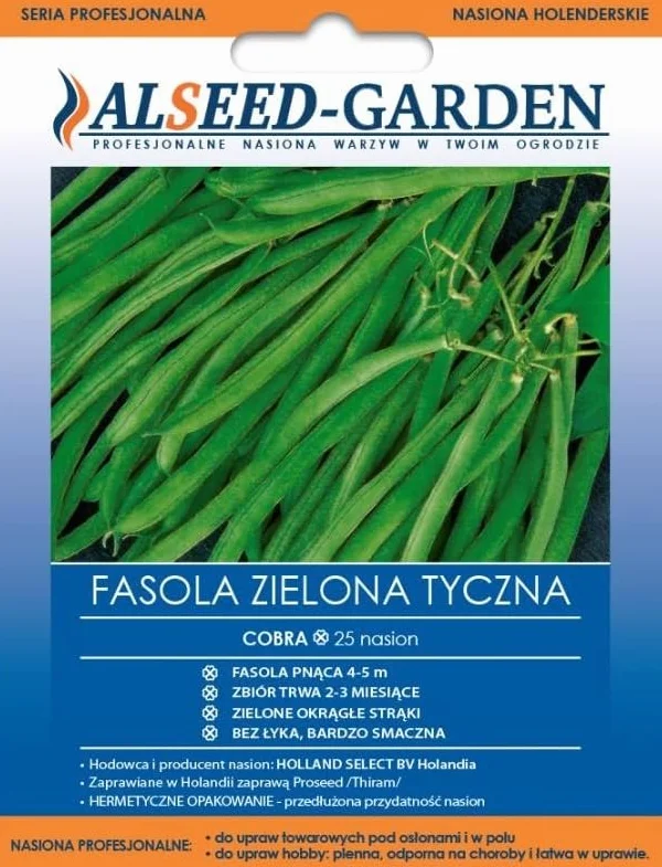 Fasola Zielona Tyczna Cobra Pnąca Bez Łyka Nasiona 25 sztuk