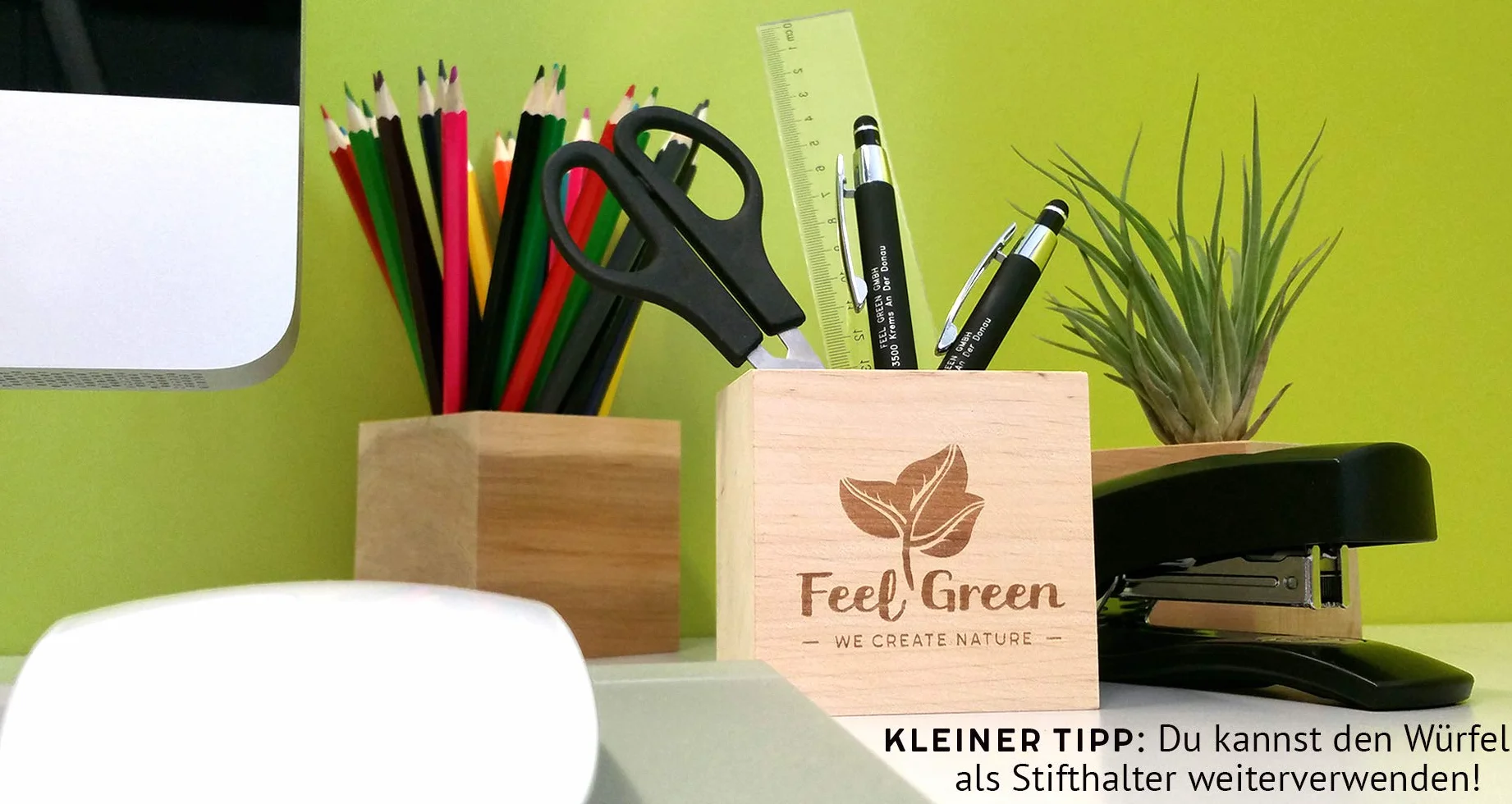 Feel Green Ecocube Zestaw do Uprawy, Wielokolorowy, 1 Zestaw