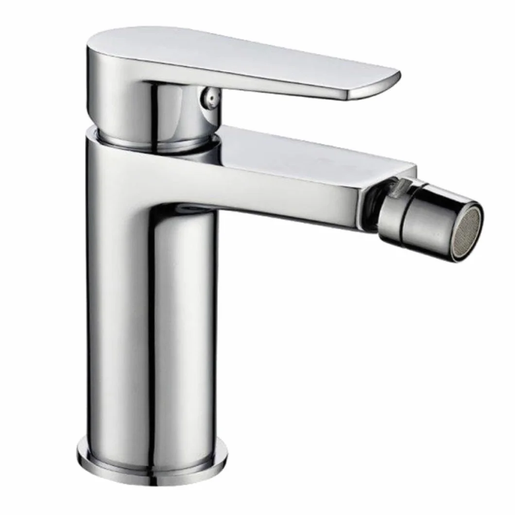 Bidet Bateria Bateria Chromowana Łazienka Dom