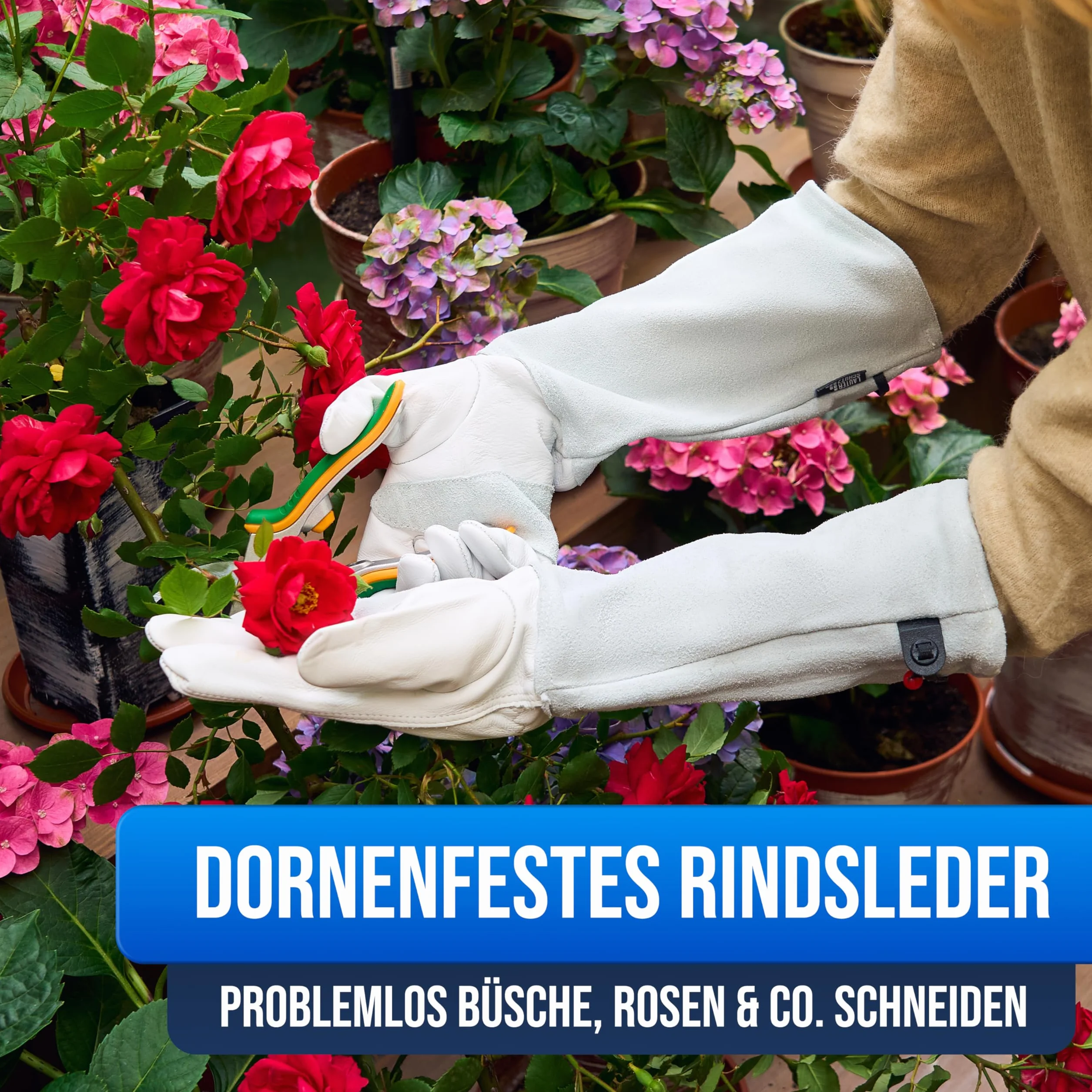 LAUTER SCHUTZ ® Rękawice ze skóry bydlęcej zabezpieczone przed kolcami – ze szwem na plecach zapewnia swobodę ruchów i komfort (rozmiar M, żółte)