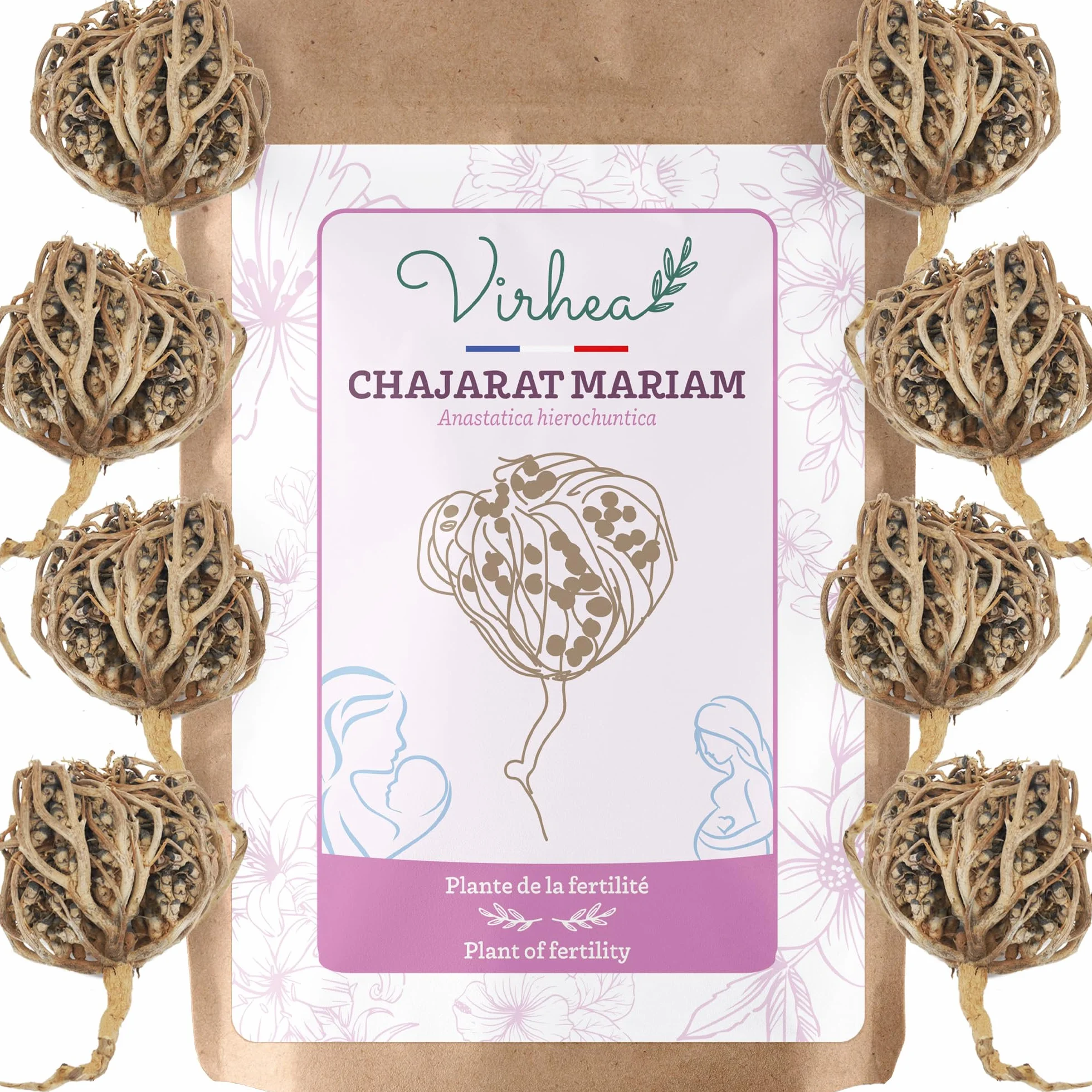 Rose de Jericho Chajarat Mariam x8 - Roślina promująca płodność