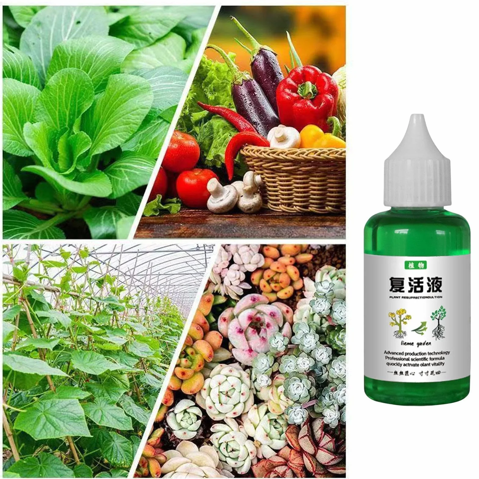 weiting witalizacja ro?linna, p?yn od?ywczy dla ro?lin | 50 ml koncentratu w p?ynie nawozowym – wspomaga zdrowy i silny wzrost, od?ywianie ro?lin glebowych zewn?trz, skuteczne narz?dzia ogrodowe do