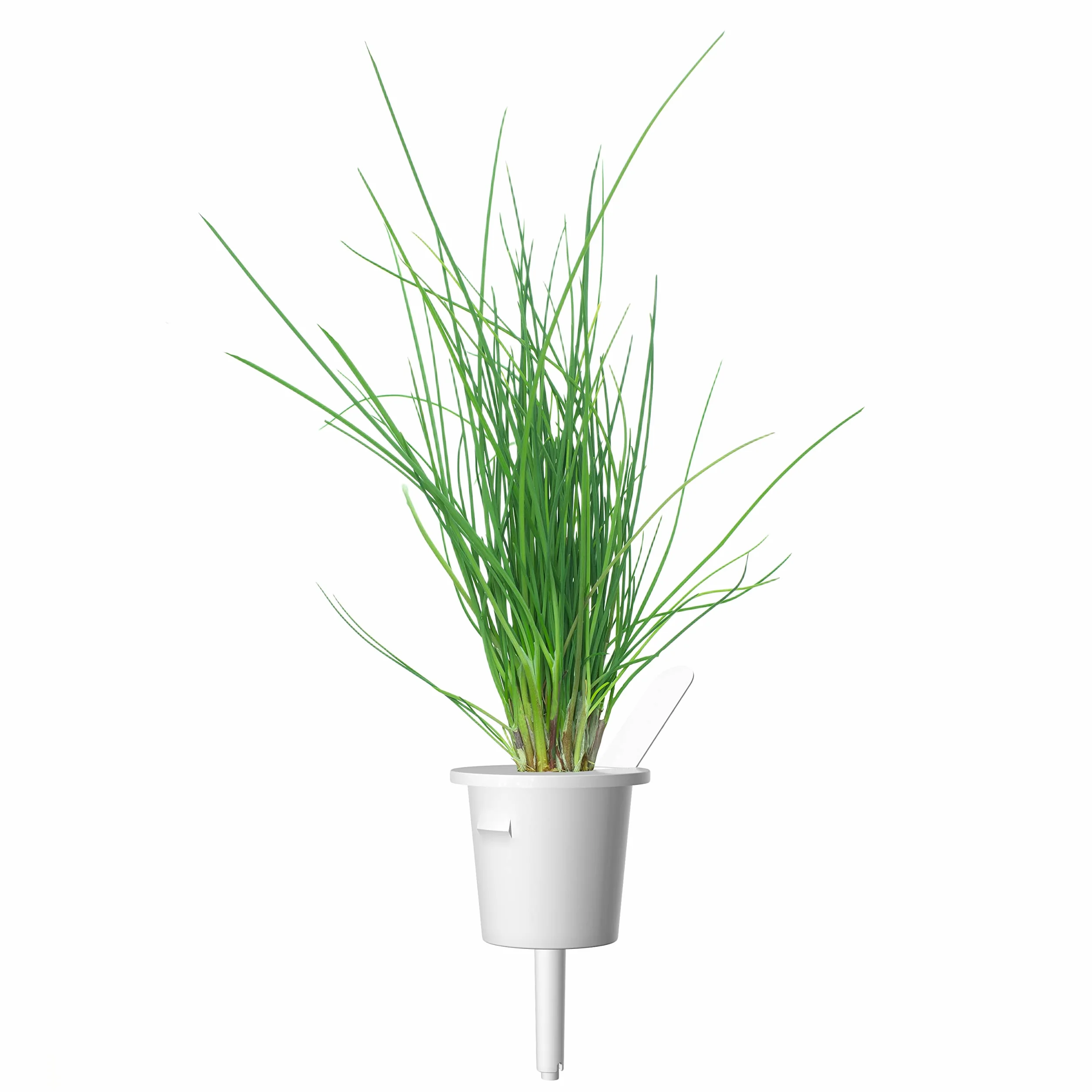 Click and Grow Smart Garden Chives Plant Pods, 3-pack