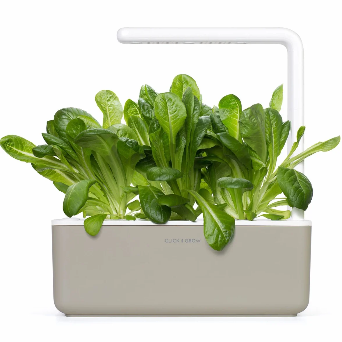Click & Grow Plant Pods, sałata rzymska, kapsułki roślinne do Smart Garden, 3-pak