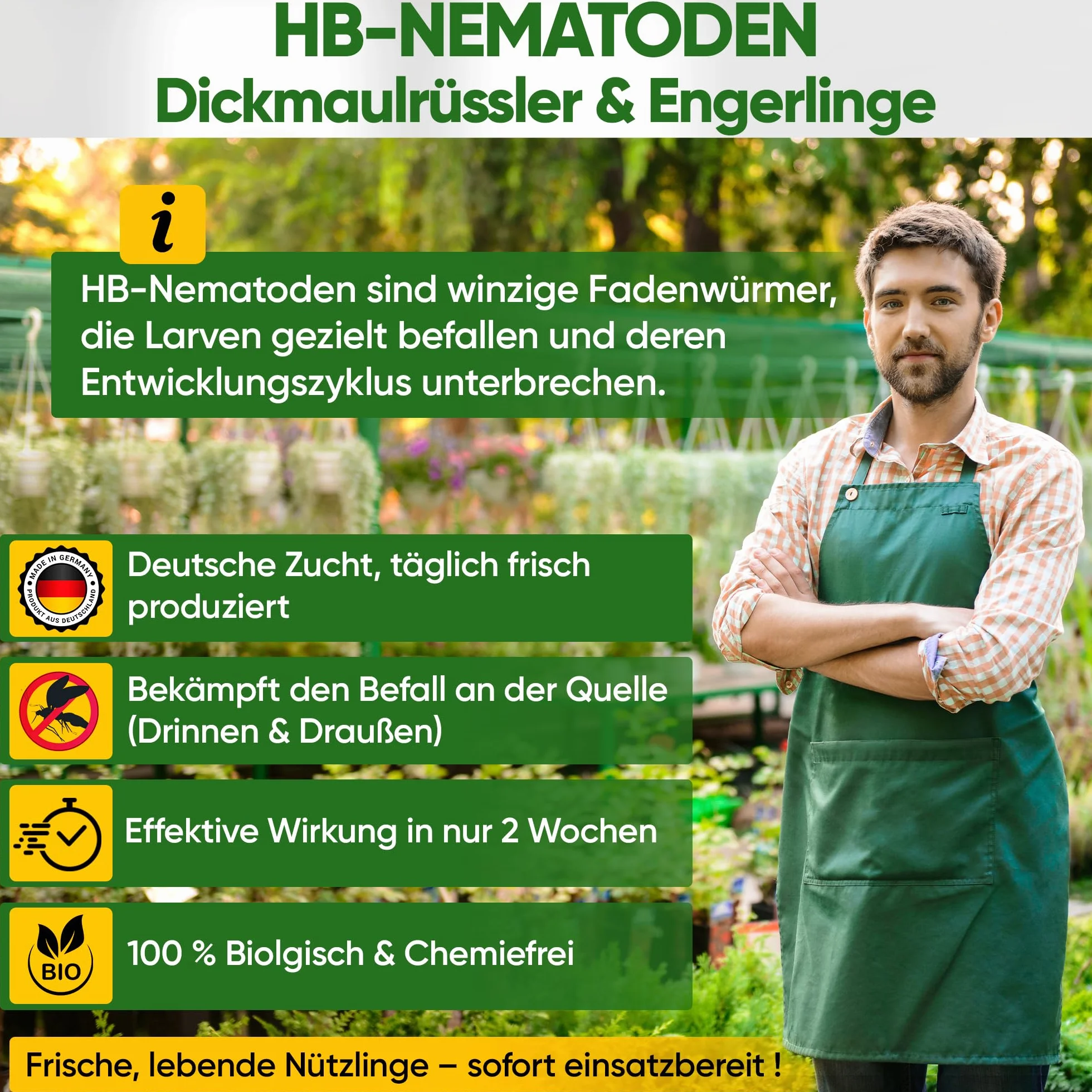GREEN GUARDIA Nicienie Power HB przeciwko opuchlakowi i pędrakom – 10 mln (20 m²) – biologiczne zwalczanie szkodników, przyjazne dla środowiska, bez chemii, łatwe w użyciu i bezpieczne dla ludzi i