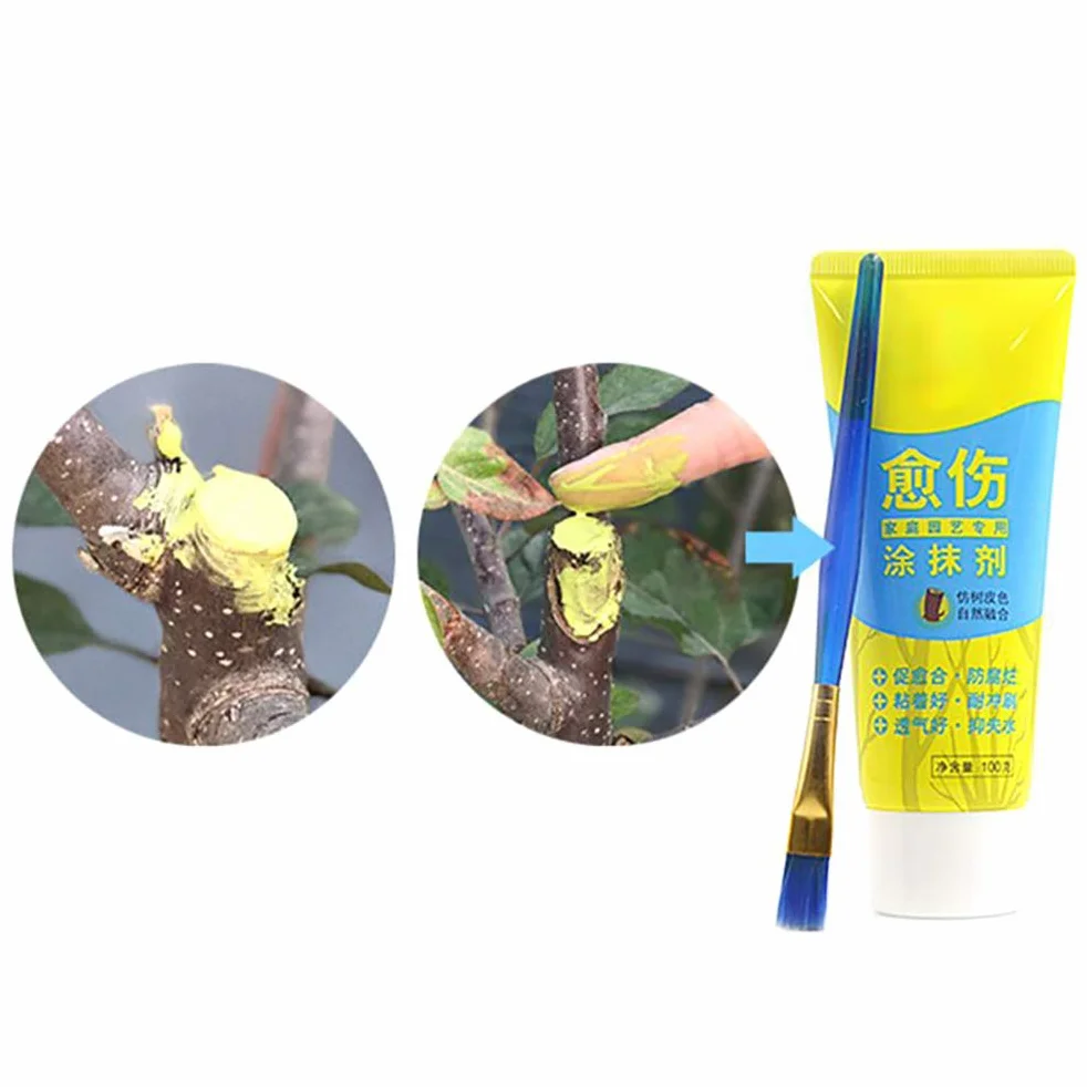 Pasta do szczepienia bonsai 100 g środek leczniczy uszczelniacz do ran roślinnych
