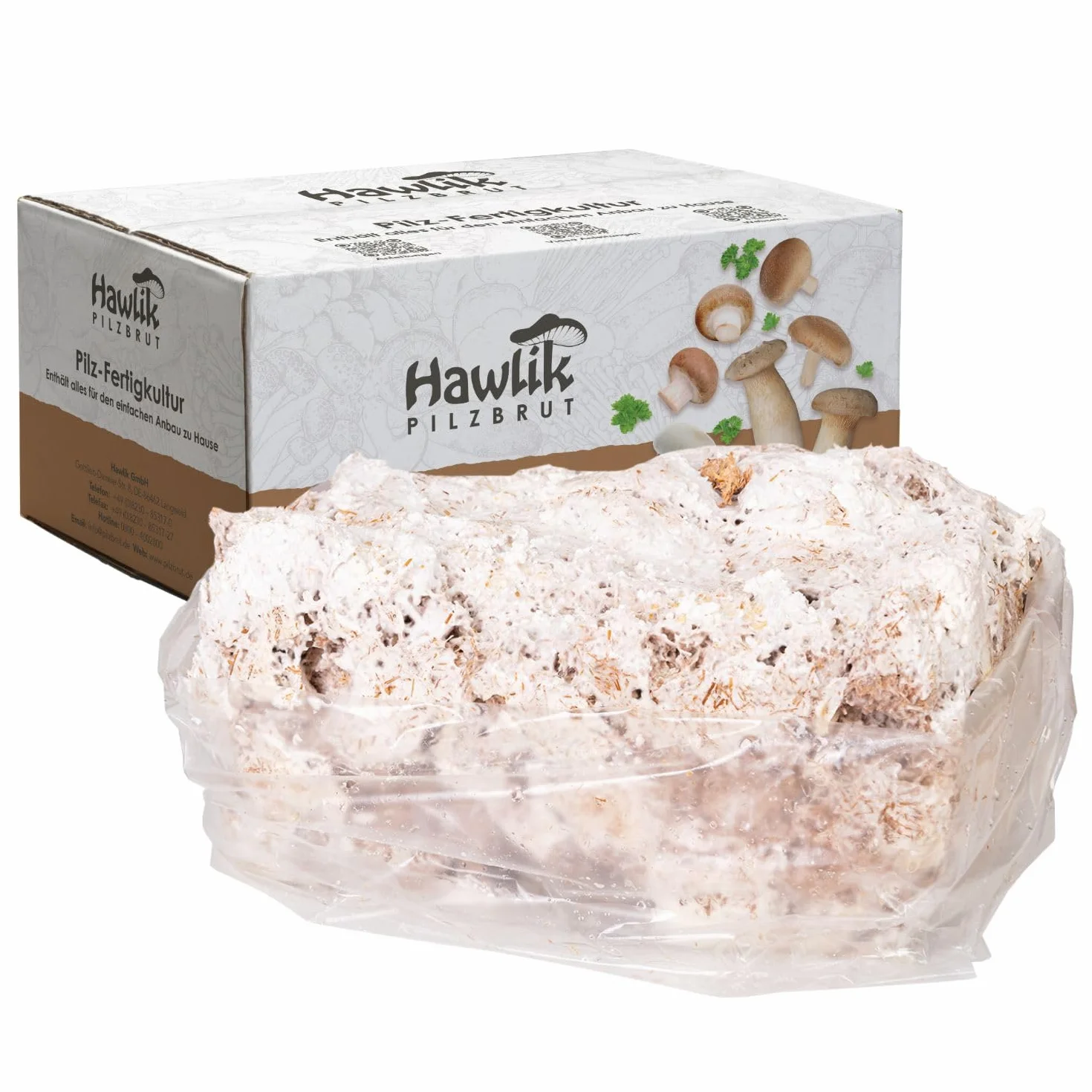 Hawlik Pilzbrut zestaw do hodowli boczniaków 1,5 kg