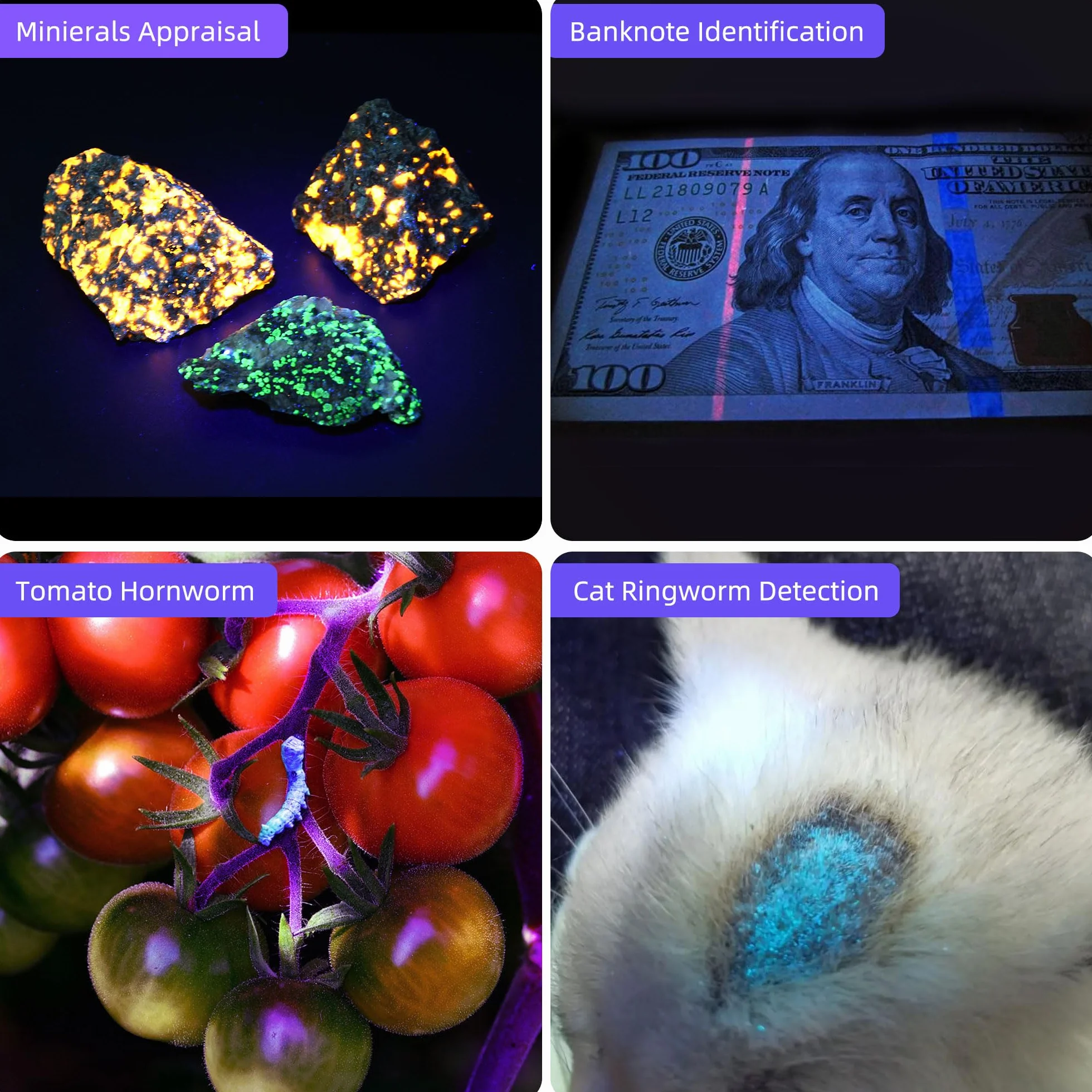 DARKBEAM Latarka UV 365nm i 395nm Blacklight, Mini Potężna Lampa Leśna USB-C Akumulator, Latarki LED Ultrafioletowe Wykrywacz moczu zwierząt domowych do skał, szkła uranowego, utwardzania żywicy, 2szt