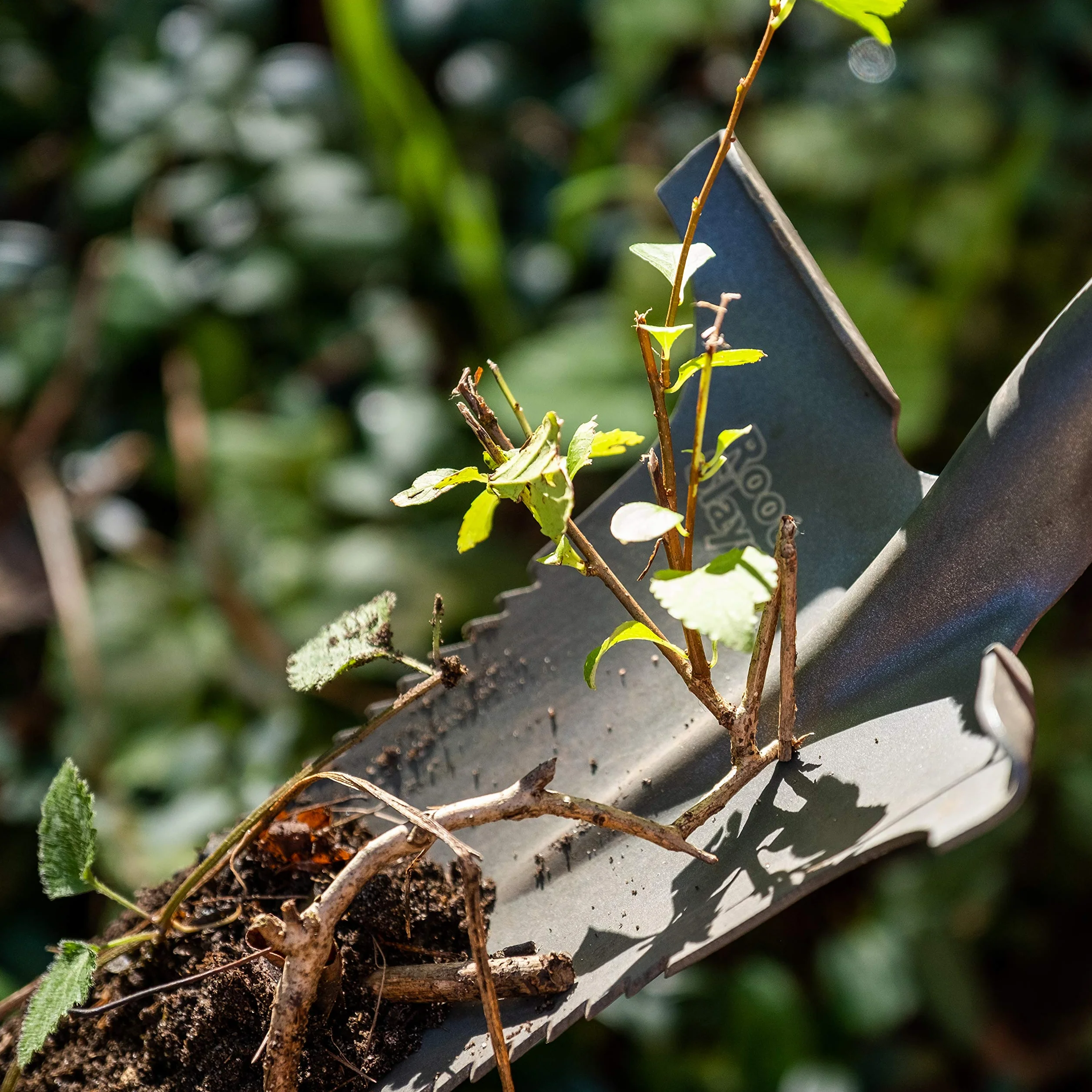 Radius Garden 22311 Root Slayer Mini łopatka do przesadzania z obcinaczem korzeni