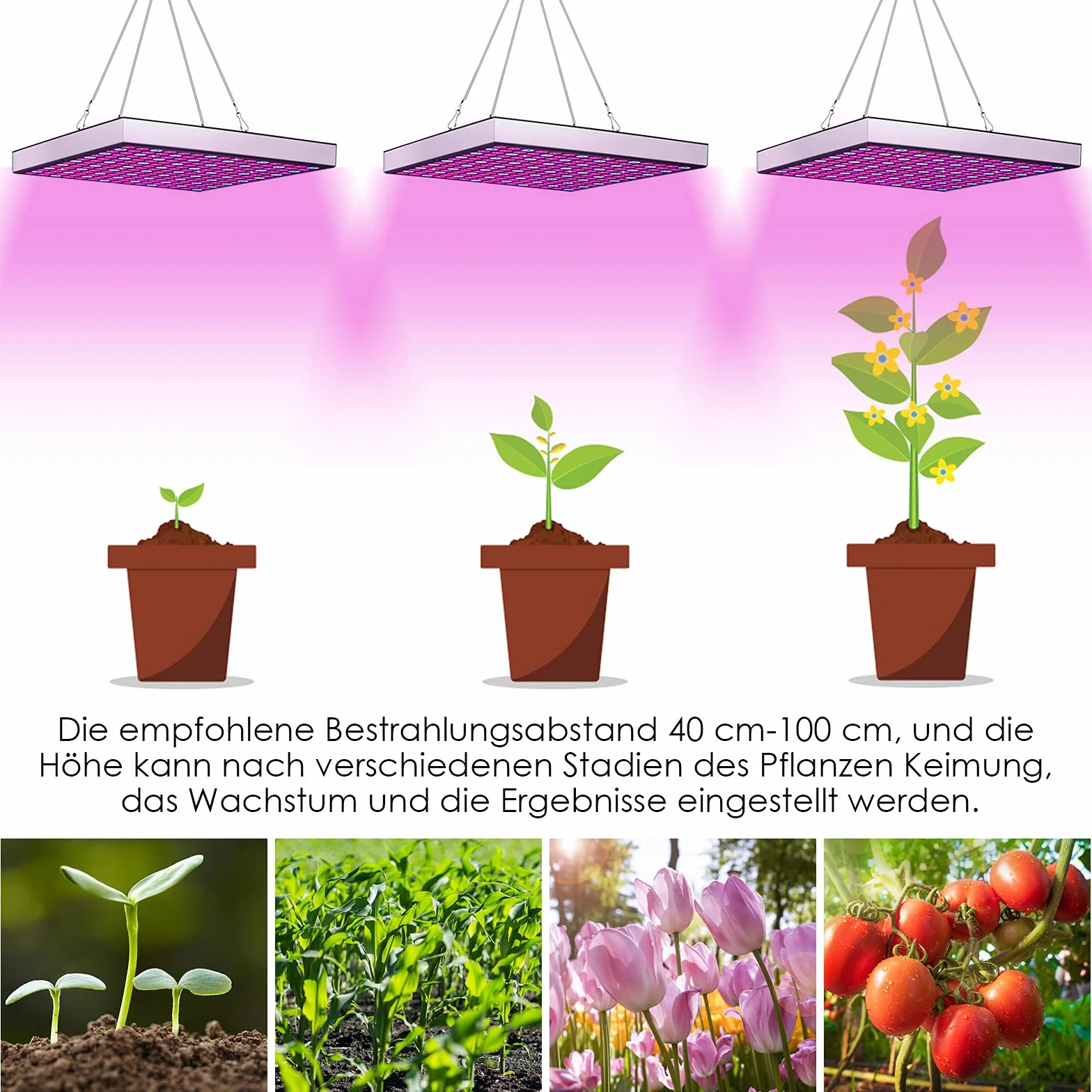 Randaco 2 szt. 45 W LED Grow Light Complete Spectrum, lampa ogrodnicza z 225 diodami LED czerwone i niebieskie światło, lampa roślinna do kiełkowania hydroponicznego