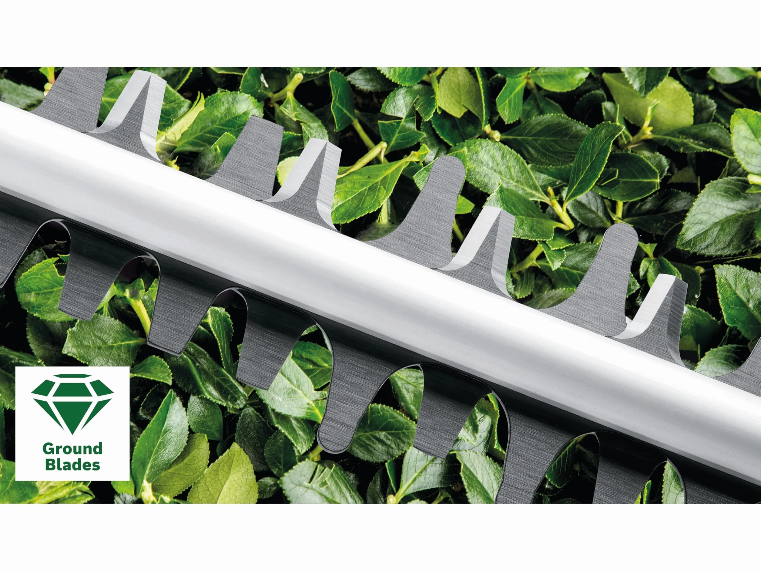 Sieciowy sekator EasyHedgeCut 45 firmy Bosch (420 W, długość listwy tnącej 45 cm, opakowanie kartonowe)