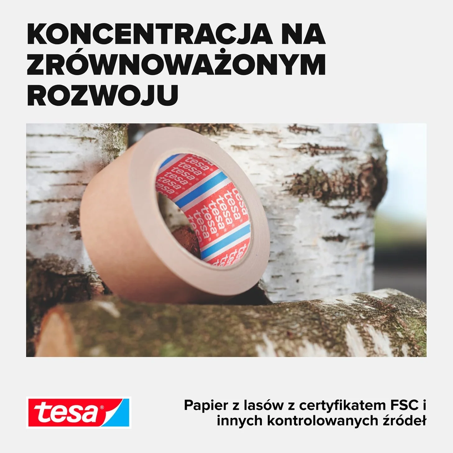 Tesa 4713 Taśma do Pakowania, Brązowy, 50 m x 50 mm