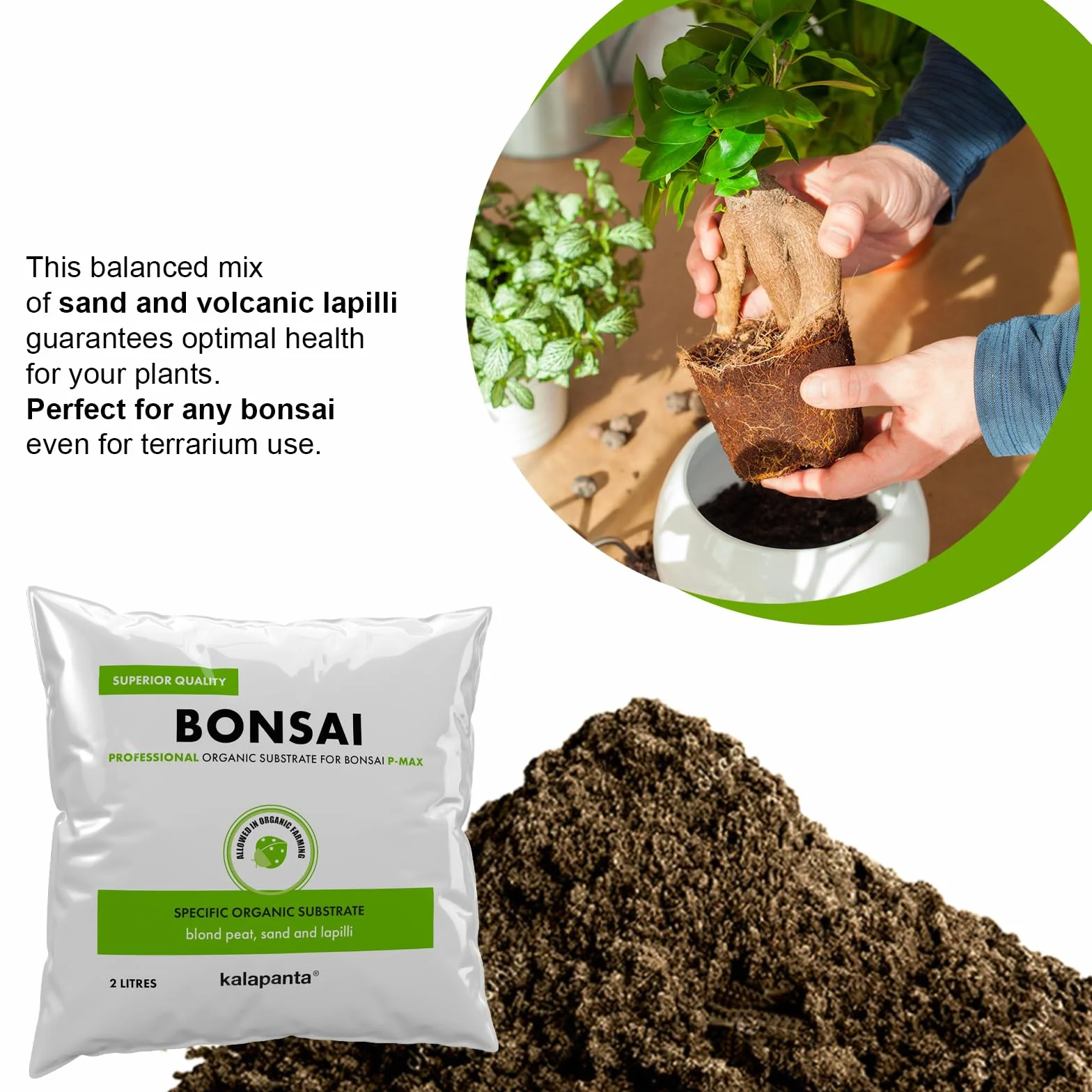 Ziemia doniczkowa do Bonsai 2L Mieszanka torfu lapilli i piasku