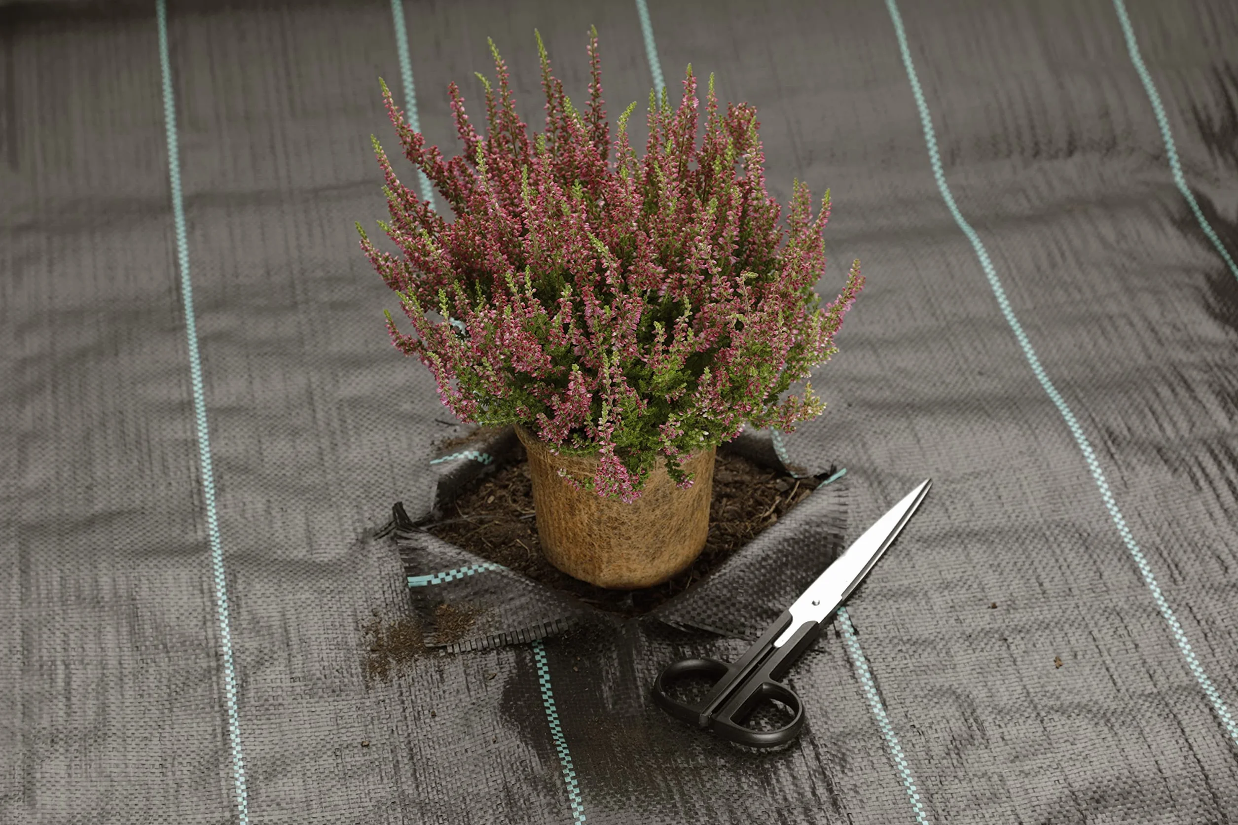 GardenMate Tkanina przeciw chwastom, przepuszcza wodę, włóknina, z ochroną UV, tkanina tasiemkowa odporna na rozerwanie, tkanina podkładowa, folia do mulczowania, 100 g/m², 2 m x 5 m