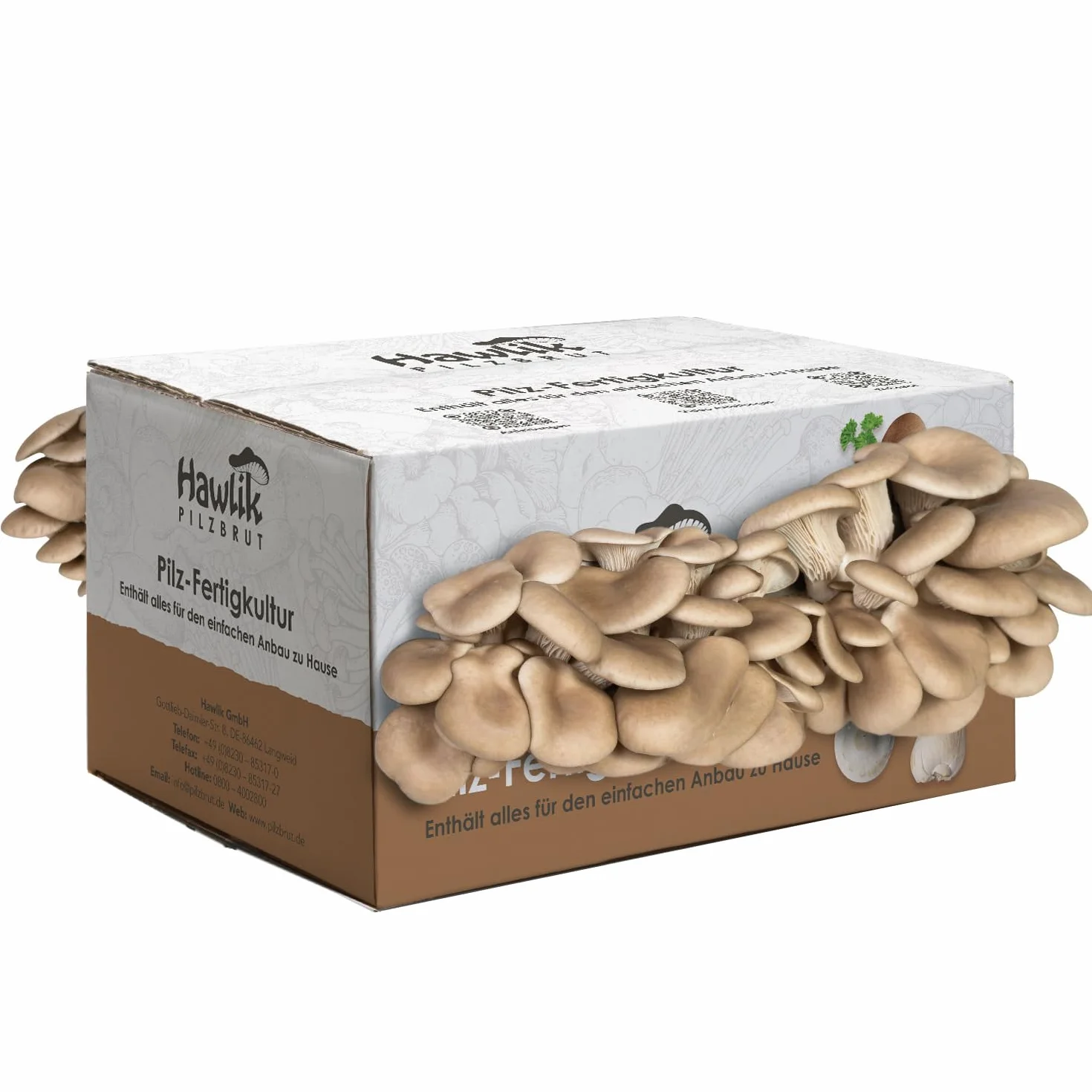 Hawlik Pilzbrut zestaw do hodowli boczniaków 1,5 kg