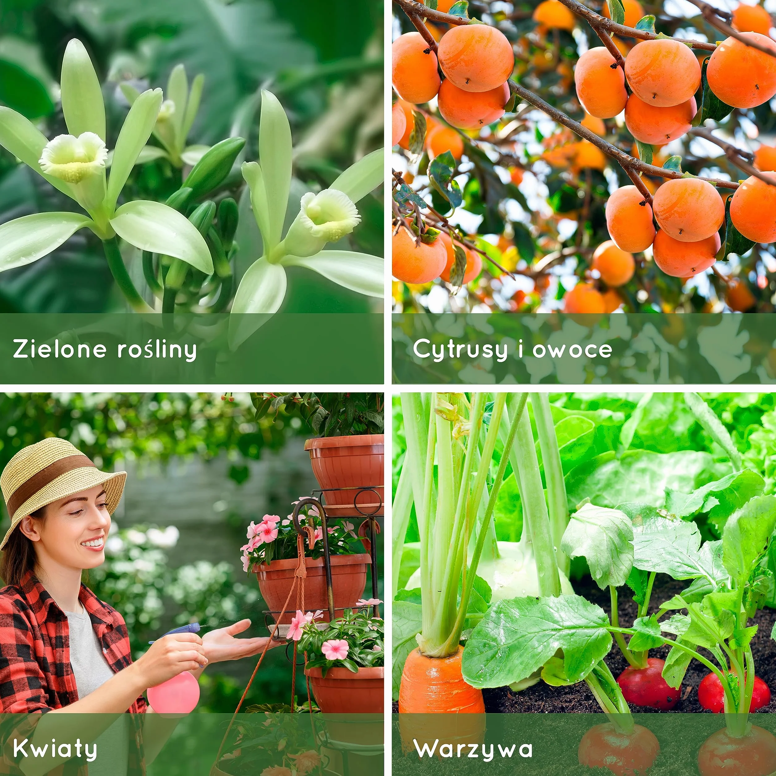 1L Organiczny Olejek z Miodli Indyjskiej Do Roślin - 100% Naturalny i Nietoksyczny - Ochrona i Obrona Przed Wszystkimi Rodzajami Szkodników, Owadów i Chorób - Rośliny Wewnątrz i Na Zewnątrz - Gotowy Do Użycia Spray.