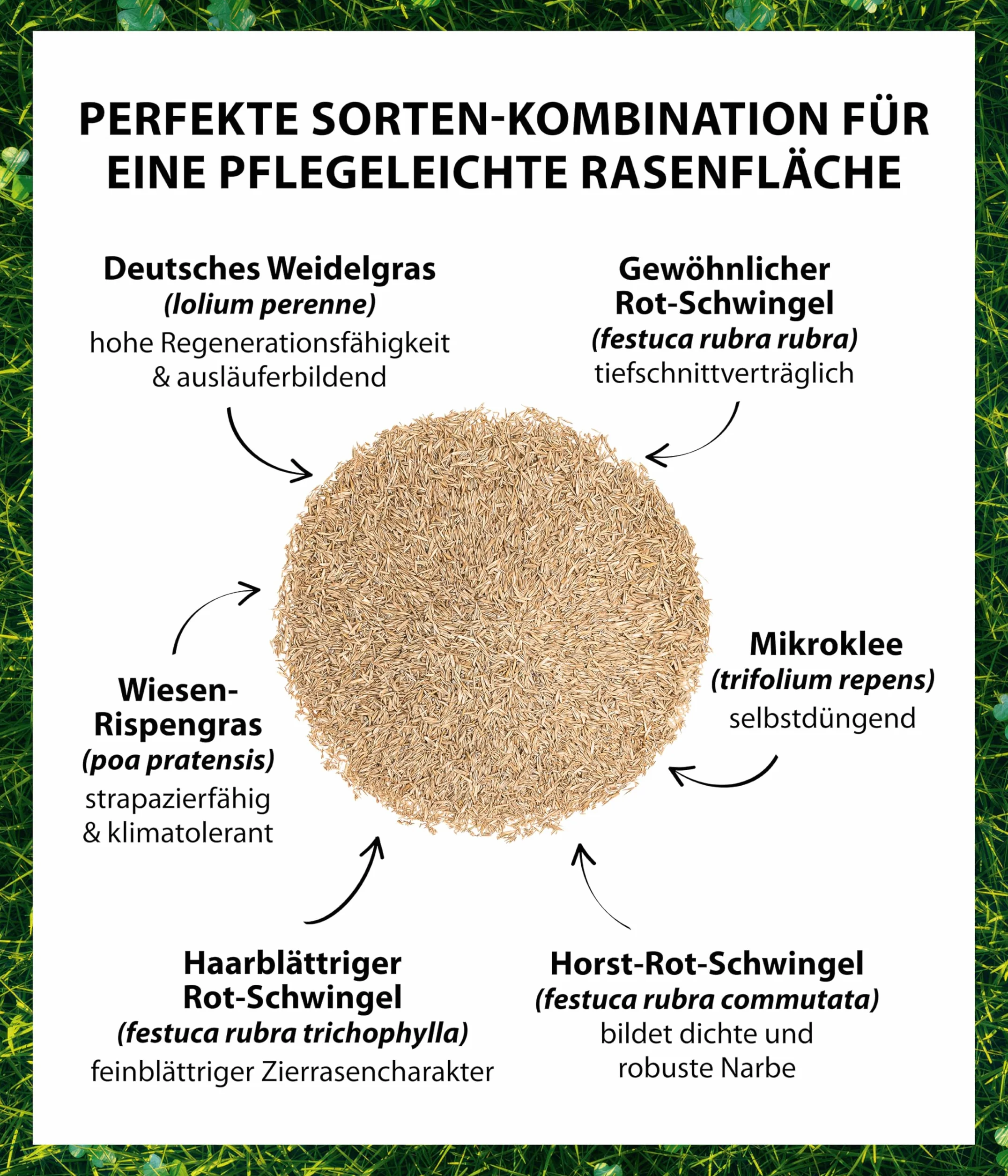 Dehner Nasiona trawnika, trawnik mikrokoniczyny, wysokiej jakości mieszanka nasion, samozapłodnienie/samokiełkujące, 625 g, na ok. 25 m², kolor naturalny