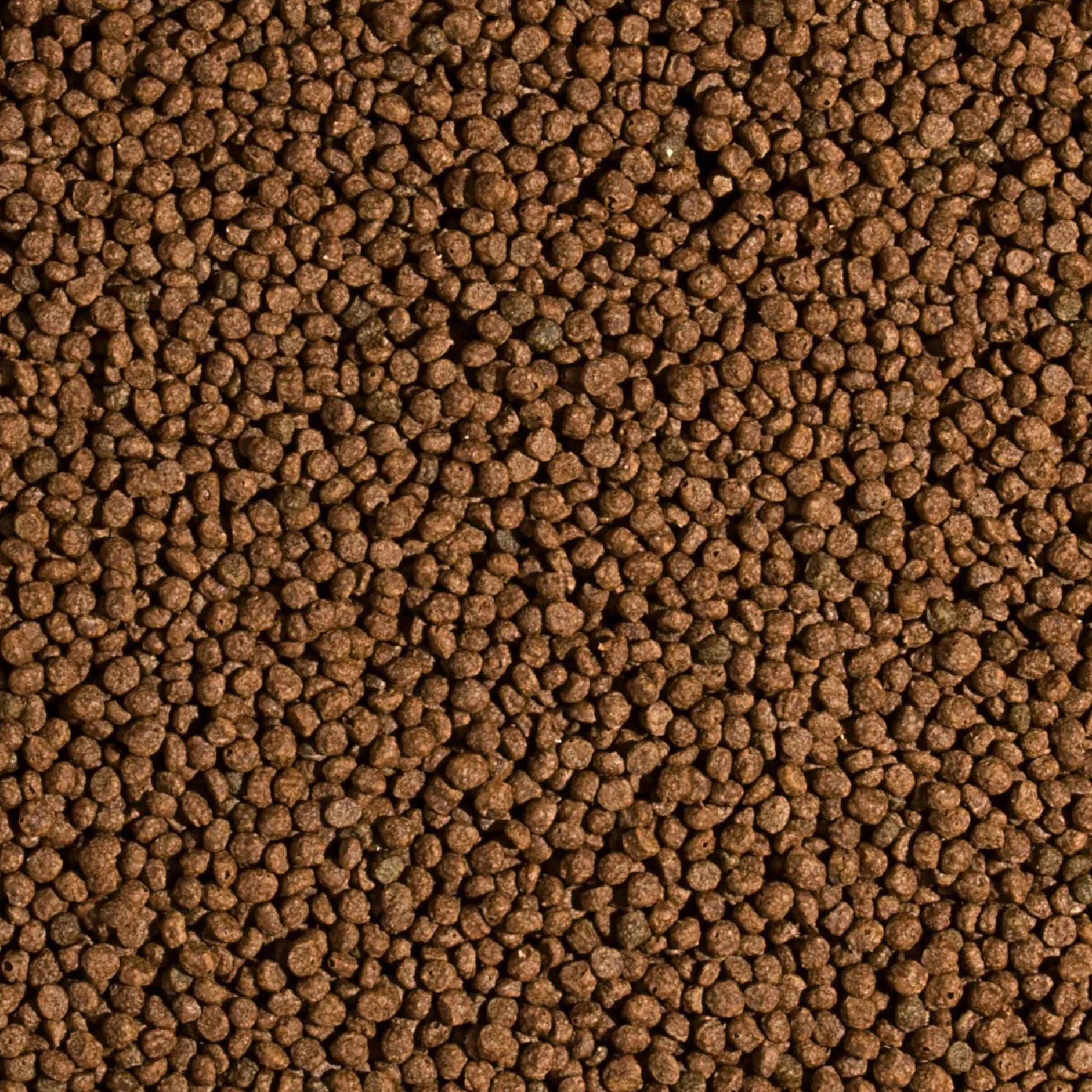 Tropical Koi Wheat Germ & Garlic Pellet Size S 5L 1,5kg Pokarm dla ryb w oczkach wodnych