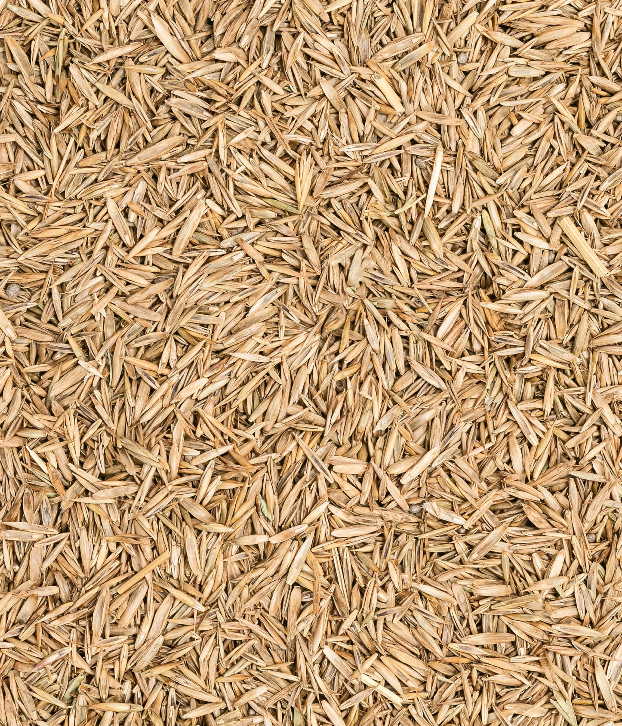 Dehner Nasiona trawnika, trawnik mikrokoniczyny, wysokiej jakości mieszanka nasion, samozapłodnienie/samokiełkujące, 625 g, na ok. 25 m², kolor naturalny