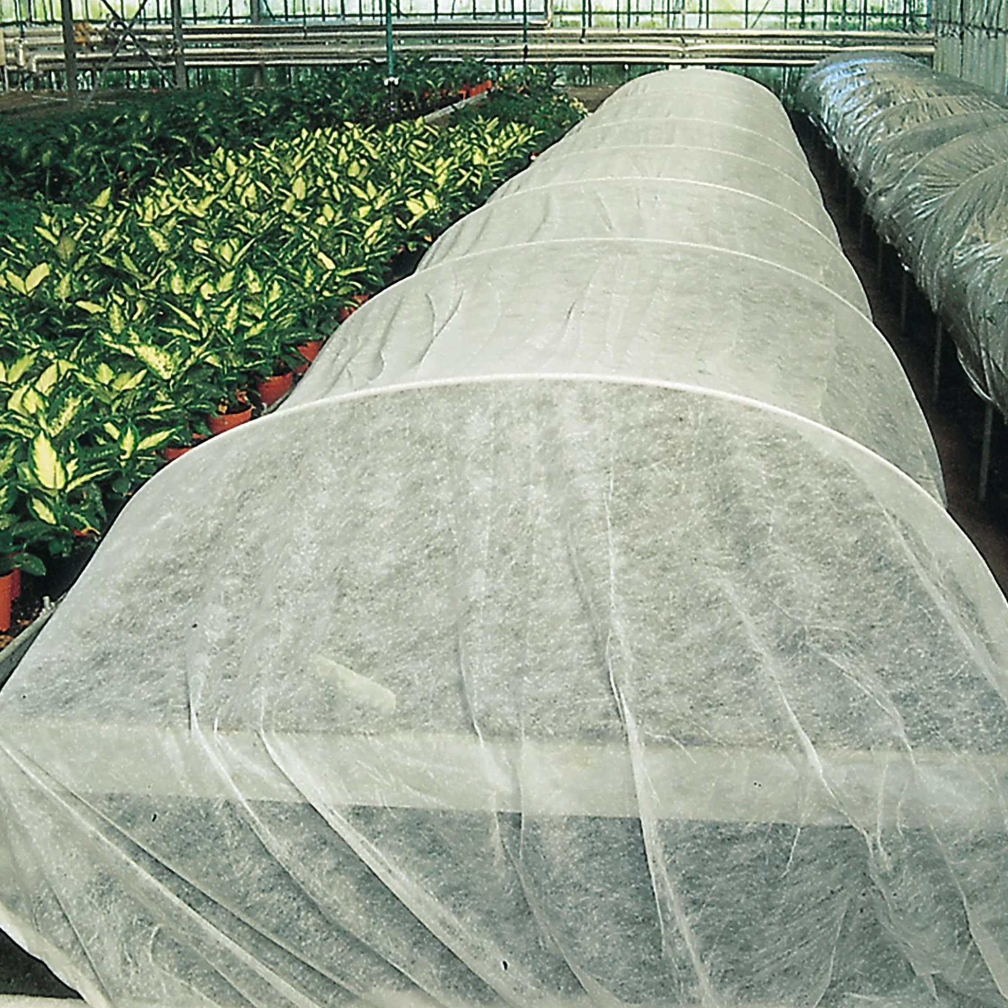 TENAX Ortoclima welon ochronny z włókniny 1,60 x 5 m biały 17 g/m² przeciw zamarzaniu
