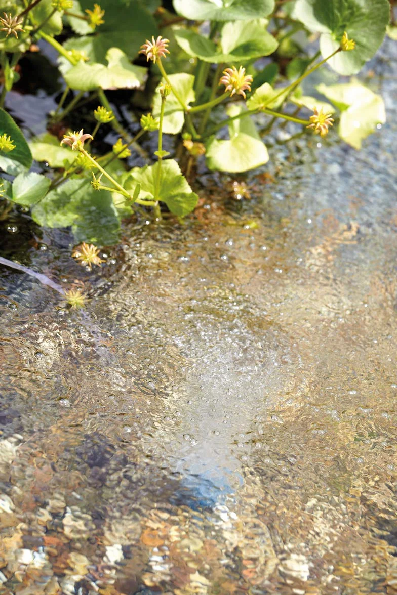 OASE AquaOxy 1000 napowietrzacz do stawu pompa napowietrzająca