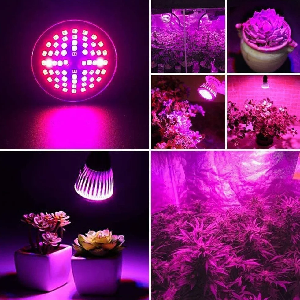 Żarówka LED do Uprawy Roślin 60W 60 LED Full Spectrum E27